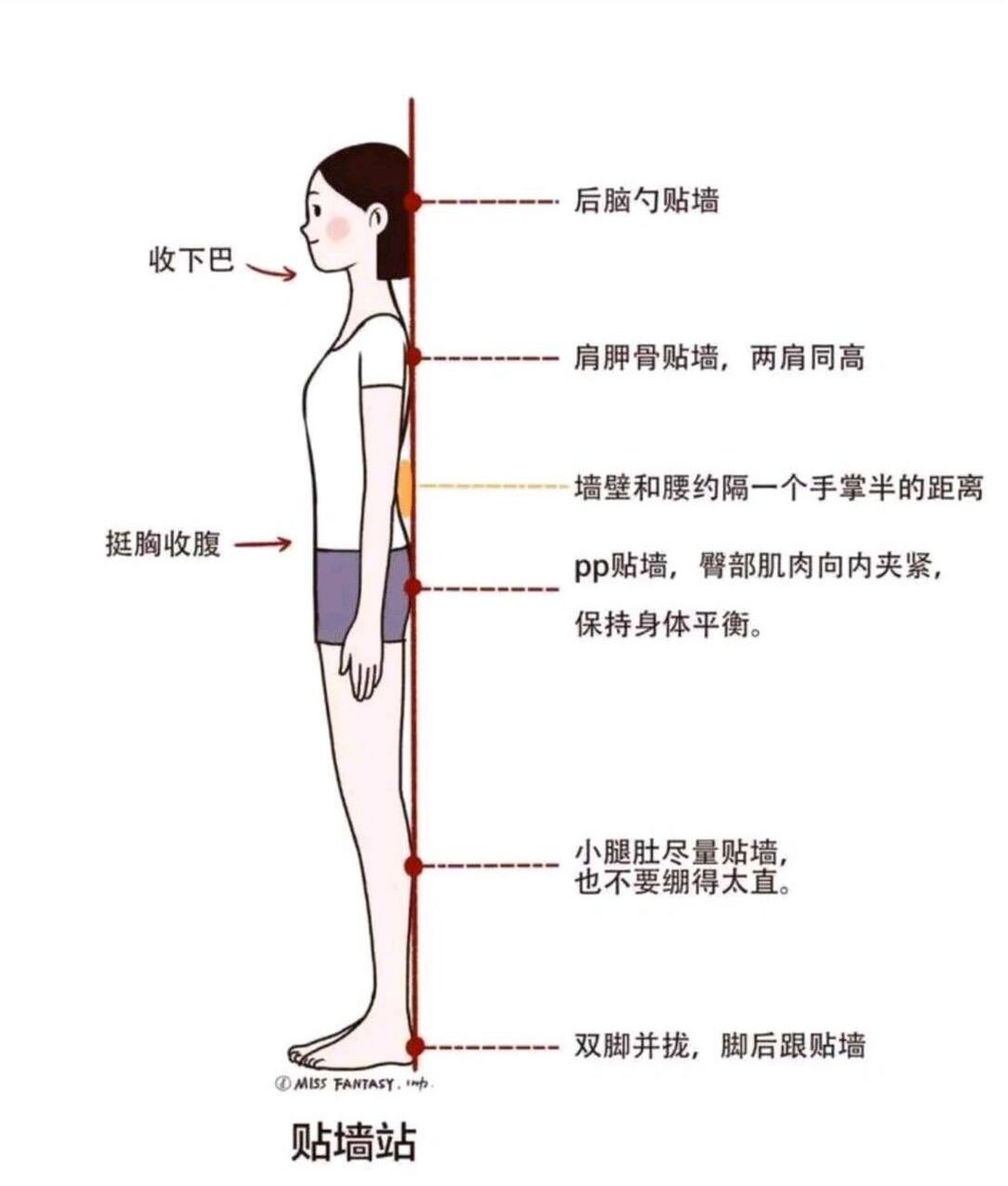 扶墙后蹬动作示意图图片