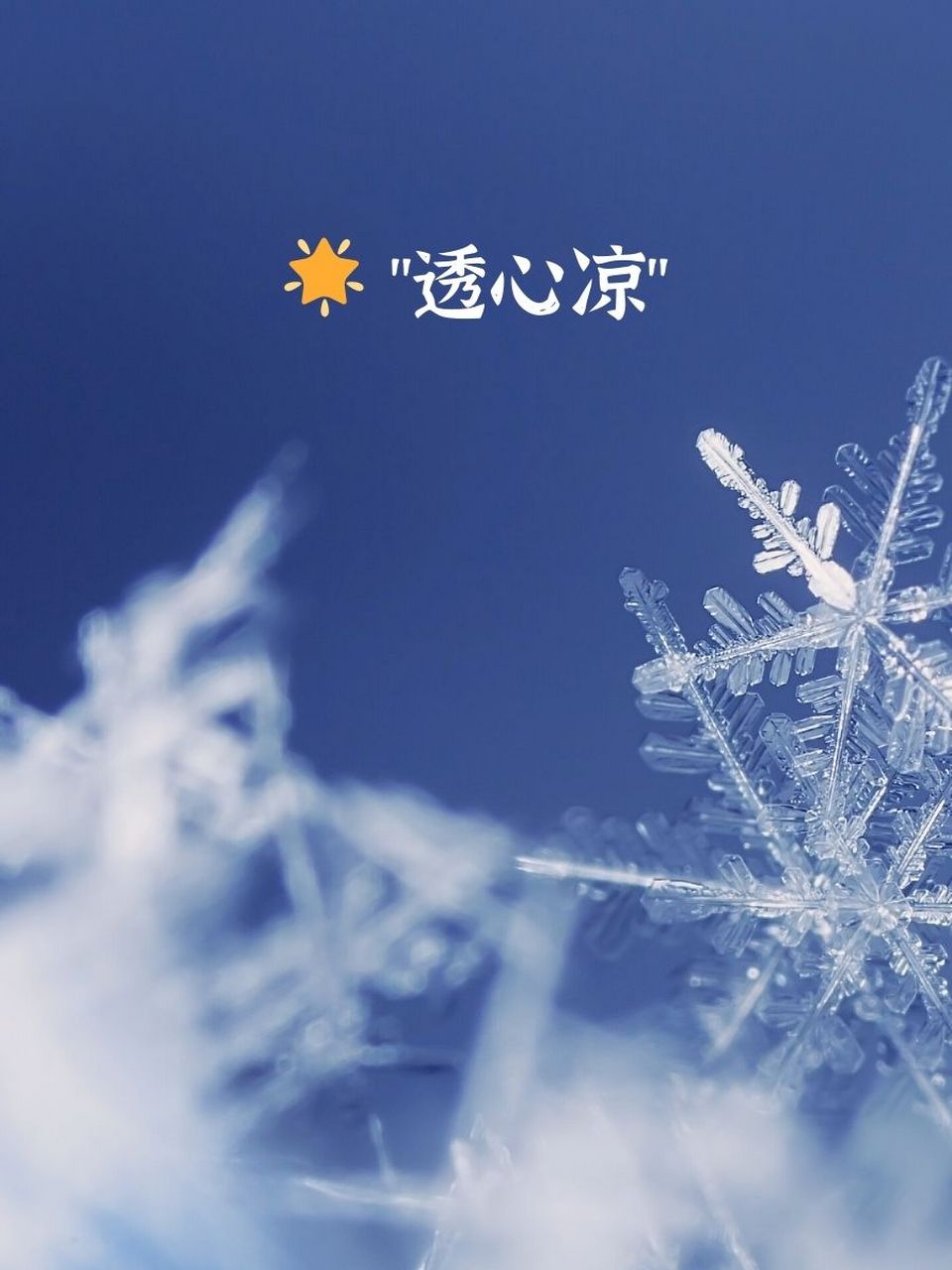 " 🌟 "透心凉" 🌟 "寒风中的回忆" 🌟 "失落的温暖.