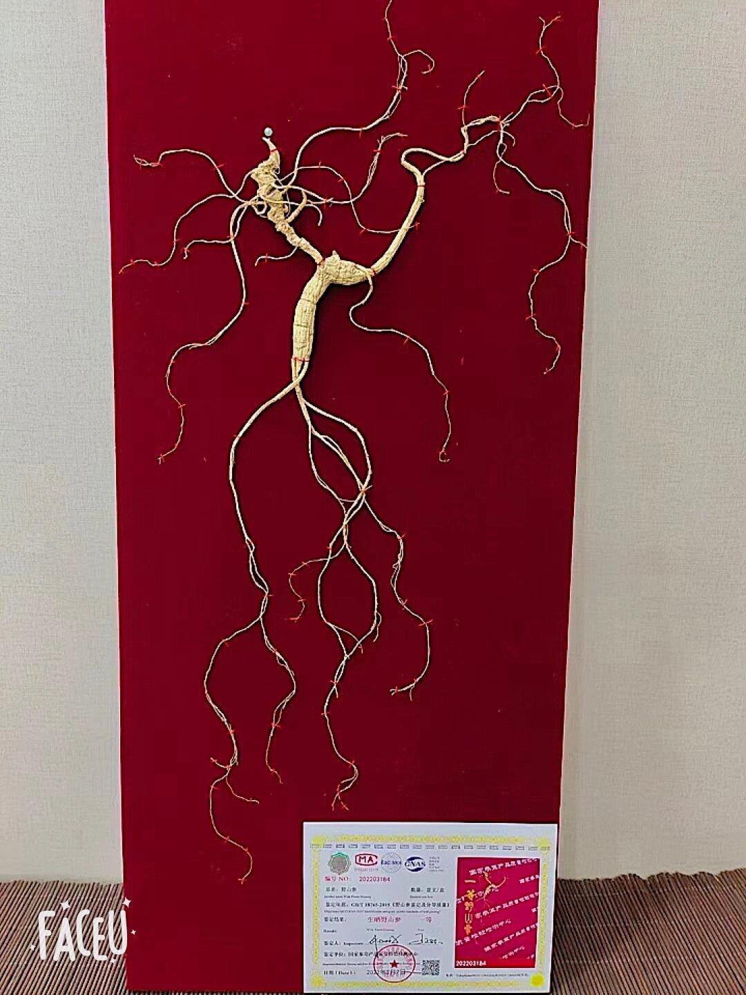 长白山特产——野山参 野山参功效与作用 大补元气,补脾益肺,生津 野