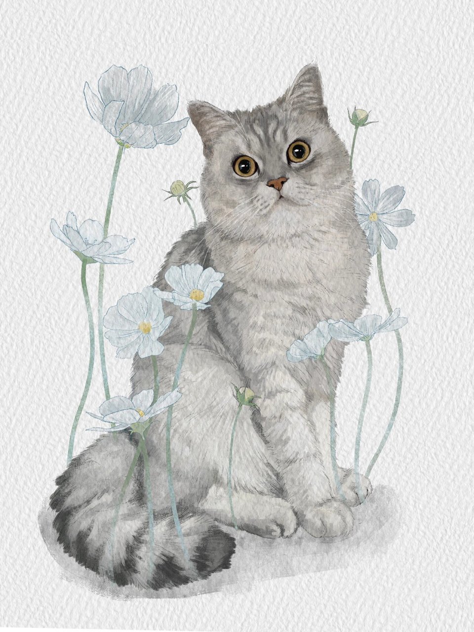 英短银渐层猫猫插画～宠物装饰画定制～ 这幅画的猫猫叫北海～超级