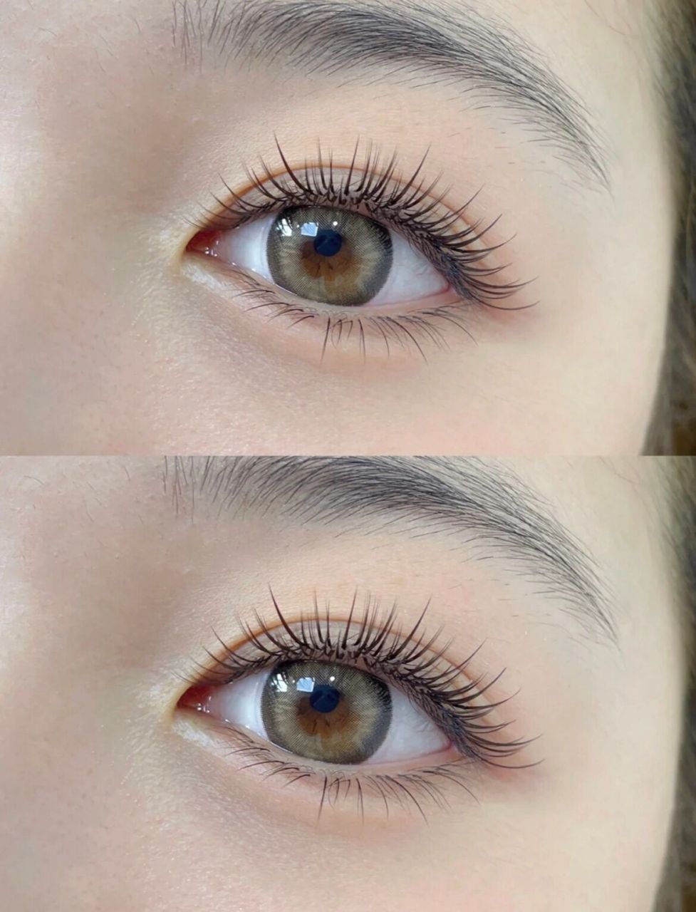 中式美睫和日式美睫的区别 日式美睫—只能按照假睫毛的翘度去进行