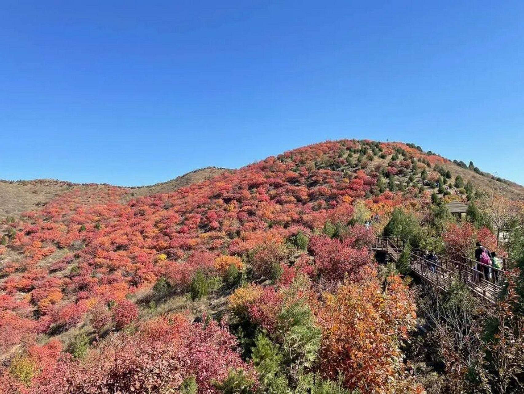 937215 【舞彩浅山峪子沟景区】 地址:顺义区s330(昌金路) 价格