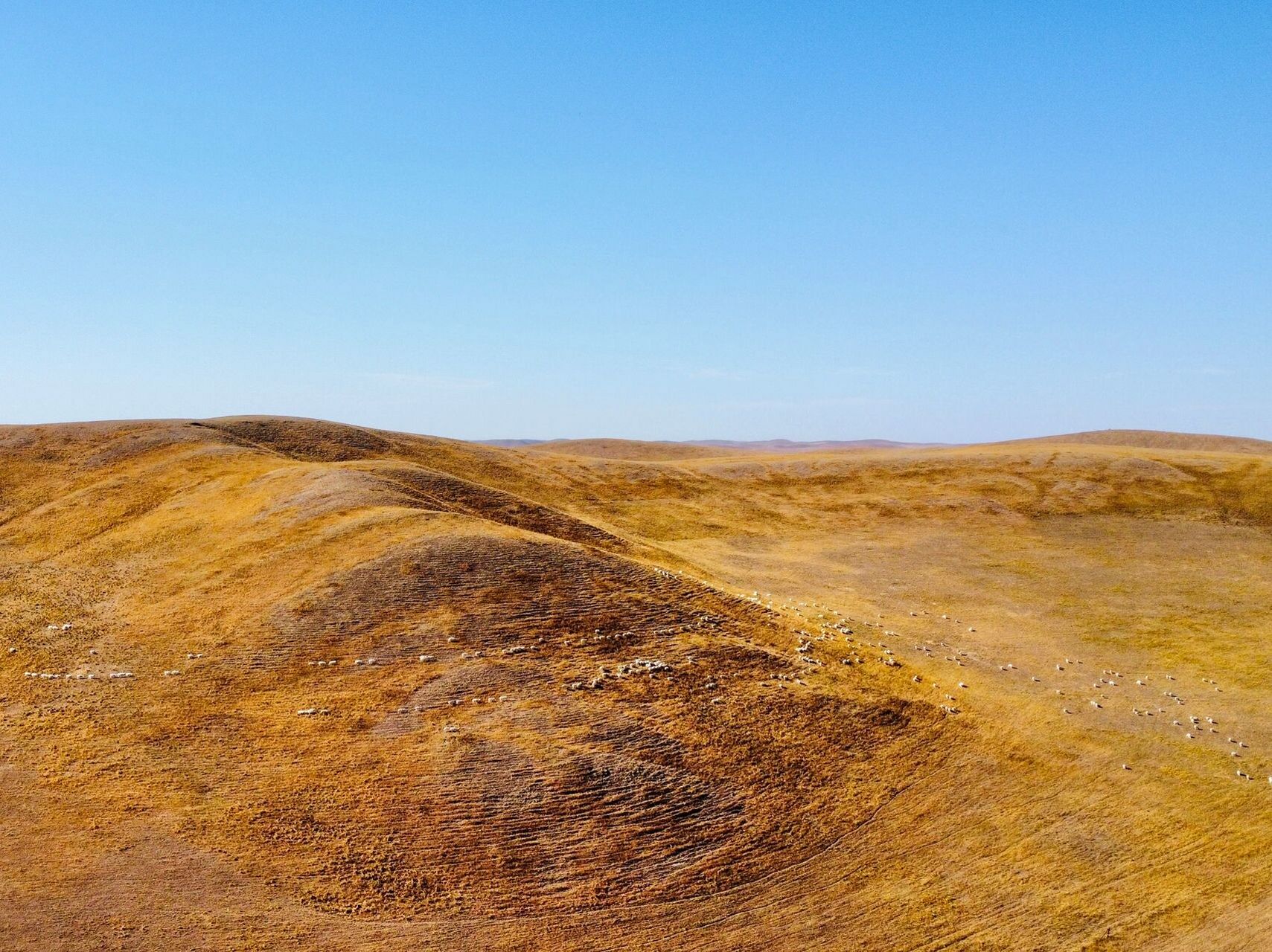 自驾内蒙:锡林郭勒-阿尔山-满洲里-呼伦贝尔 自驾穿越内蒙北线,从