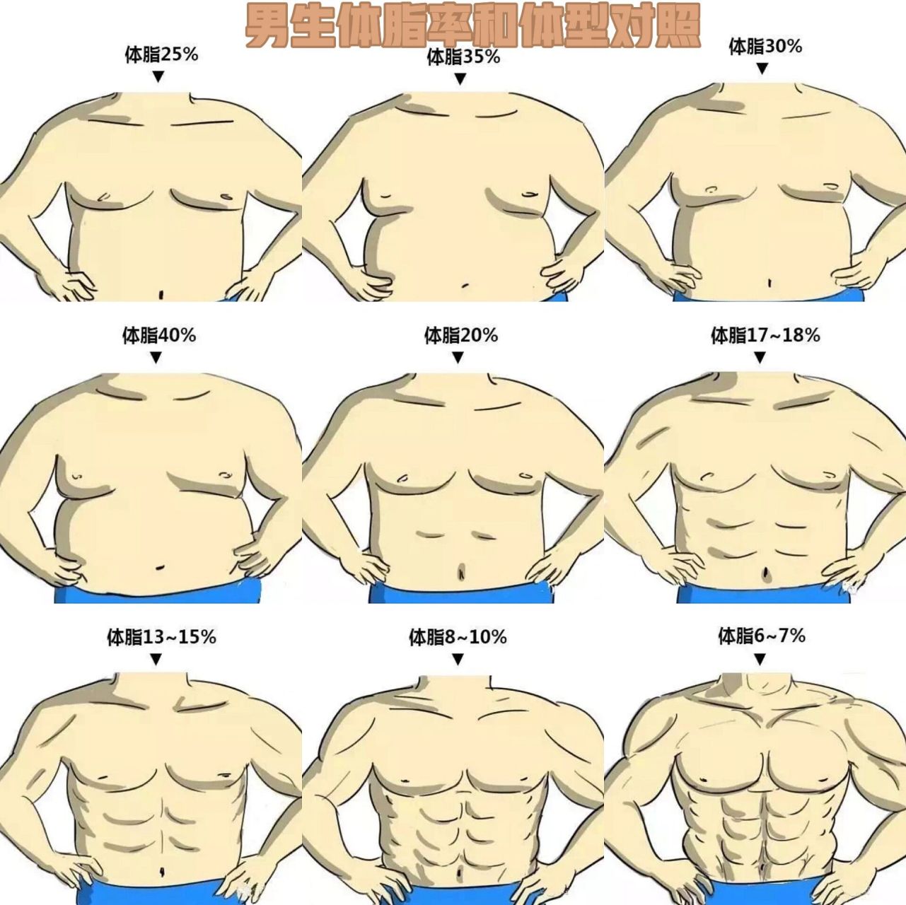 男女体脂率多少才可以看到明显的腹肌71 每当在健身房里锻炼的时候