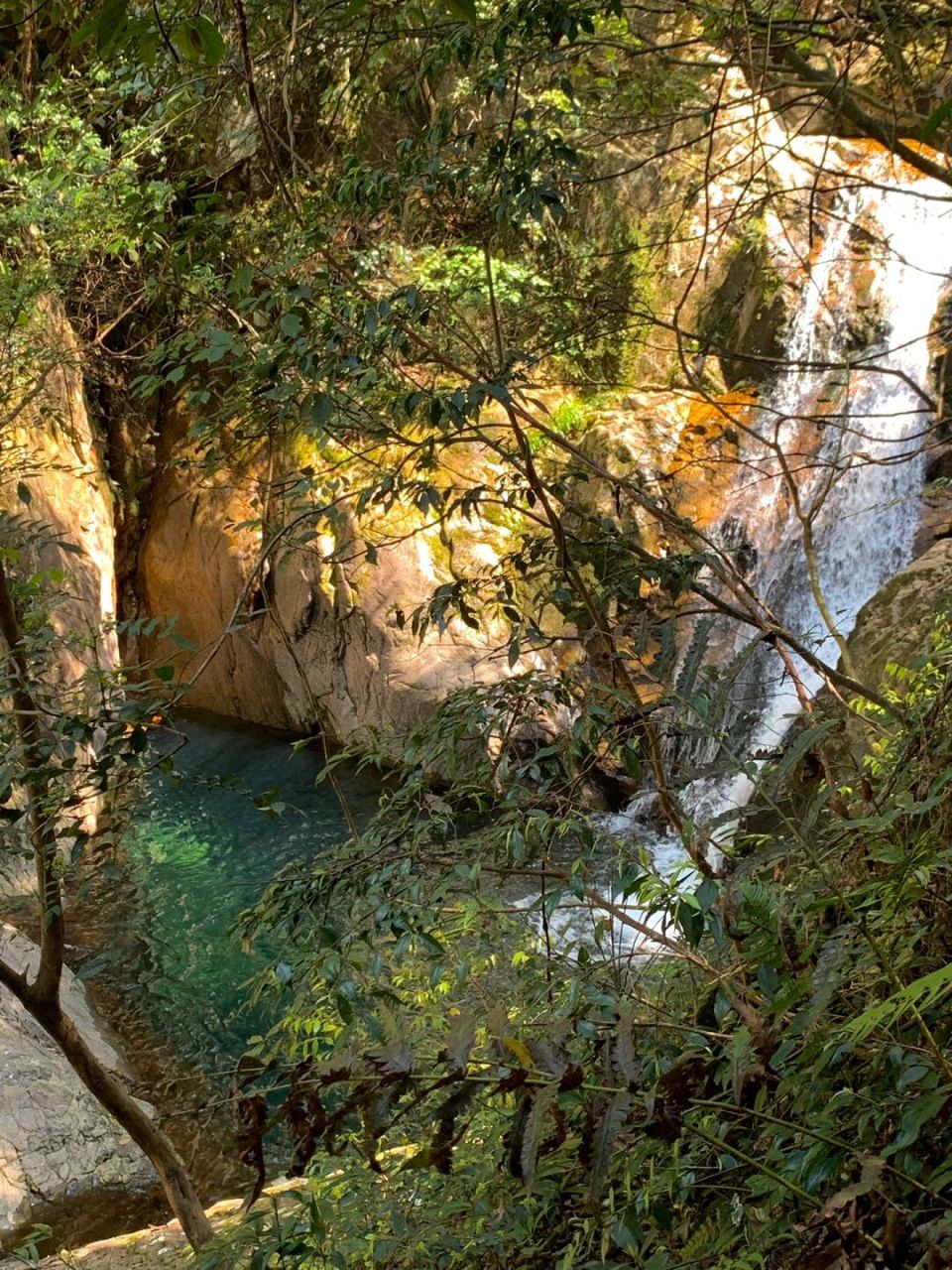 宁波徒步🐾|中坡山森林公园🎋🌳🪺 🧭中坡山森林公园 📍