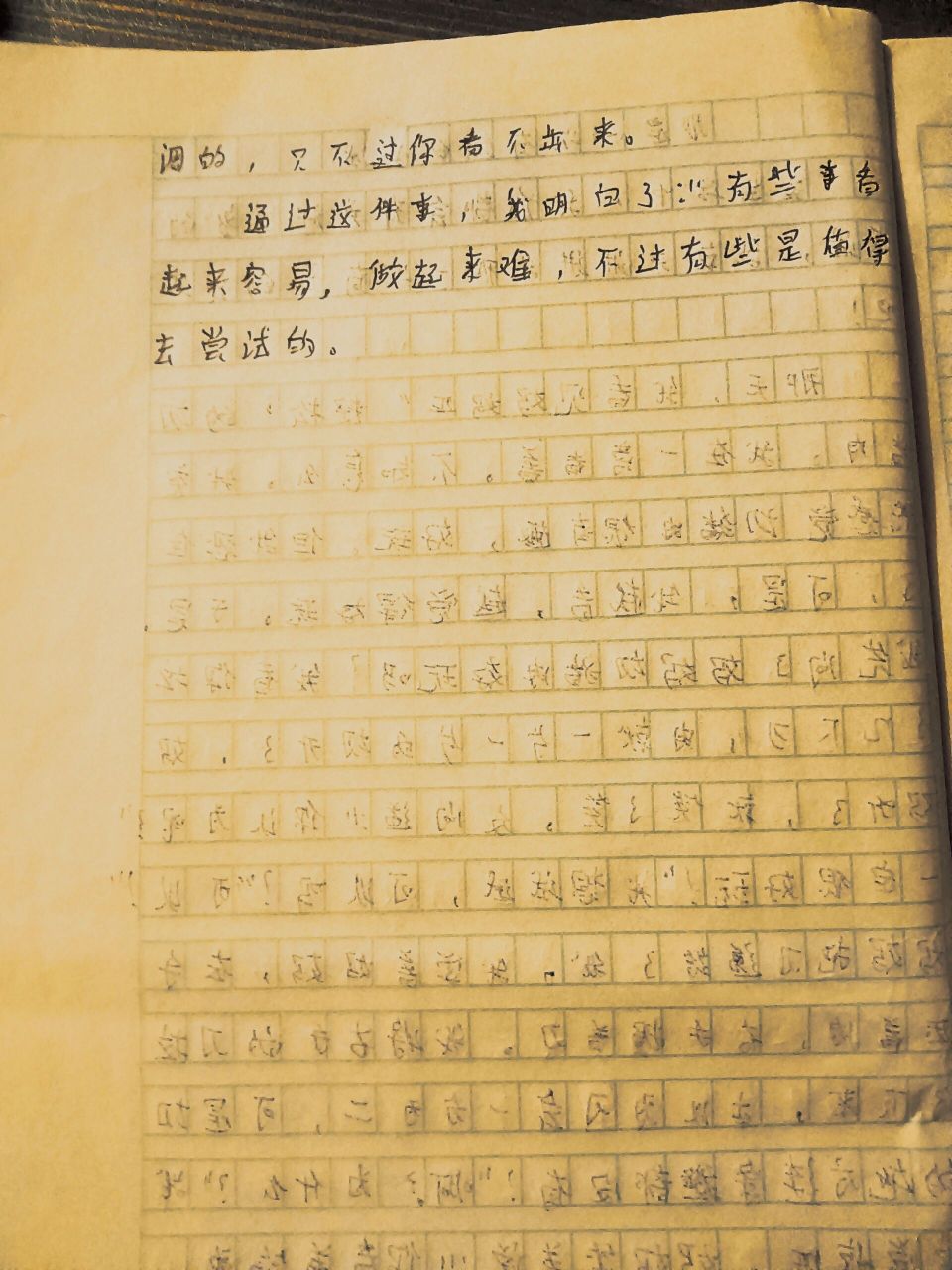 作文——那是一次有趣的尝试(400字) 字丑希望不要介意