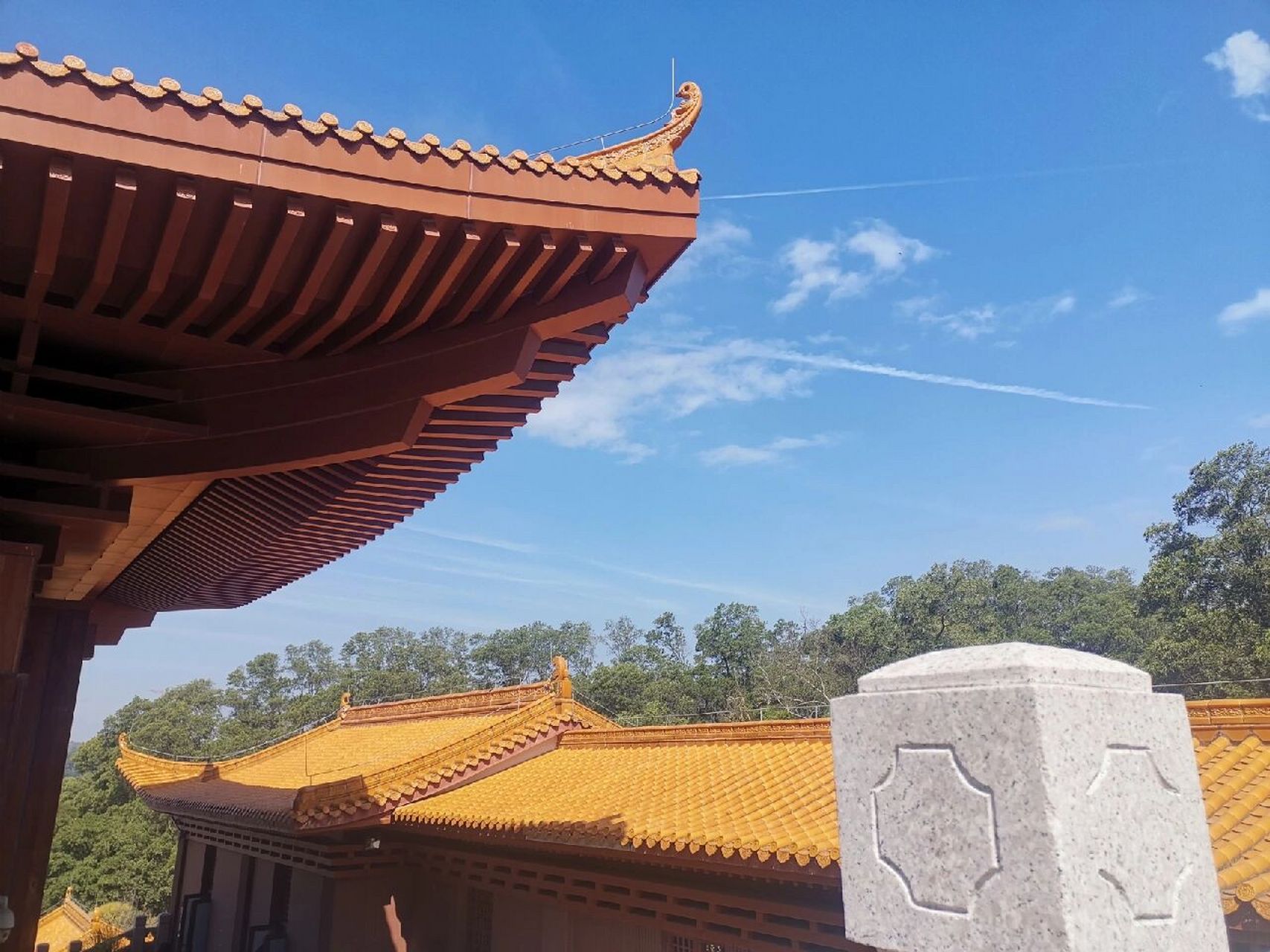 仙湖植物园弘法寺图片图片