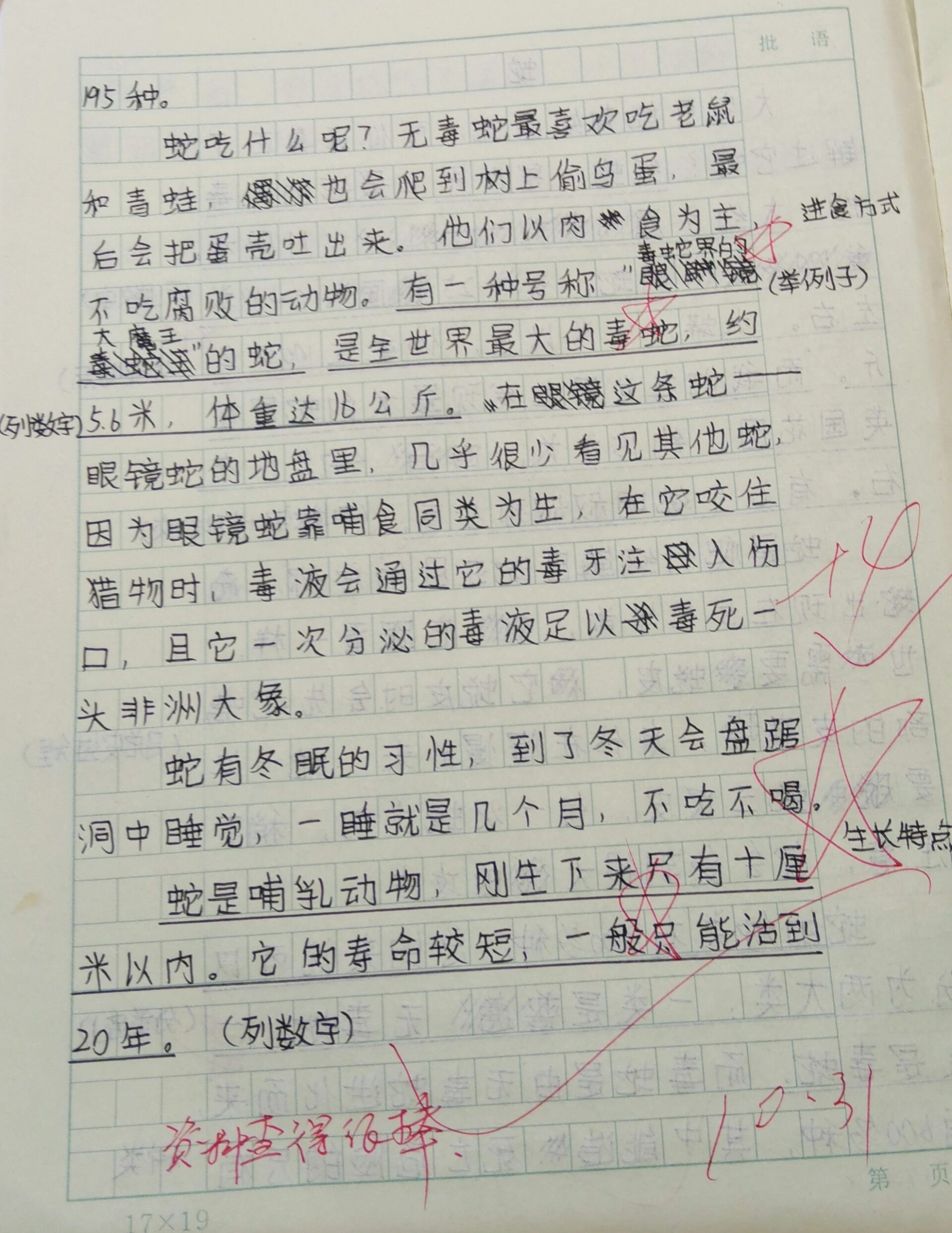 说明文500字五年级图片