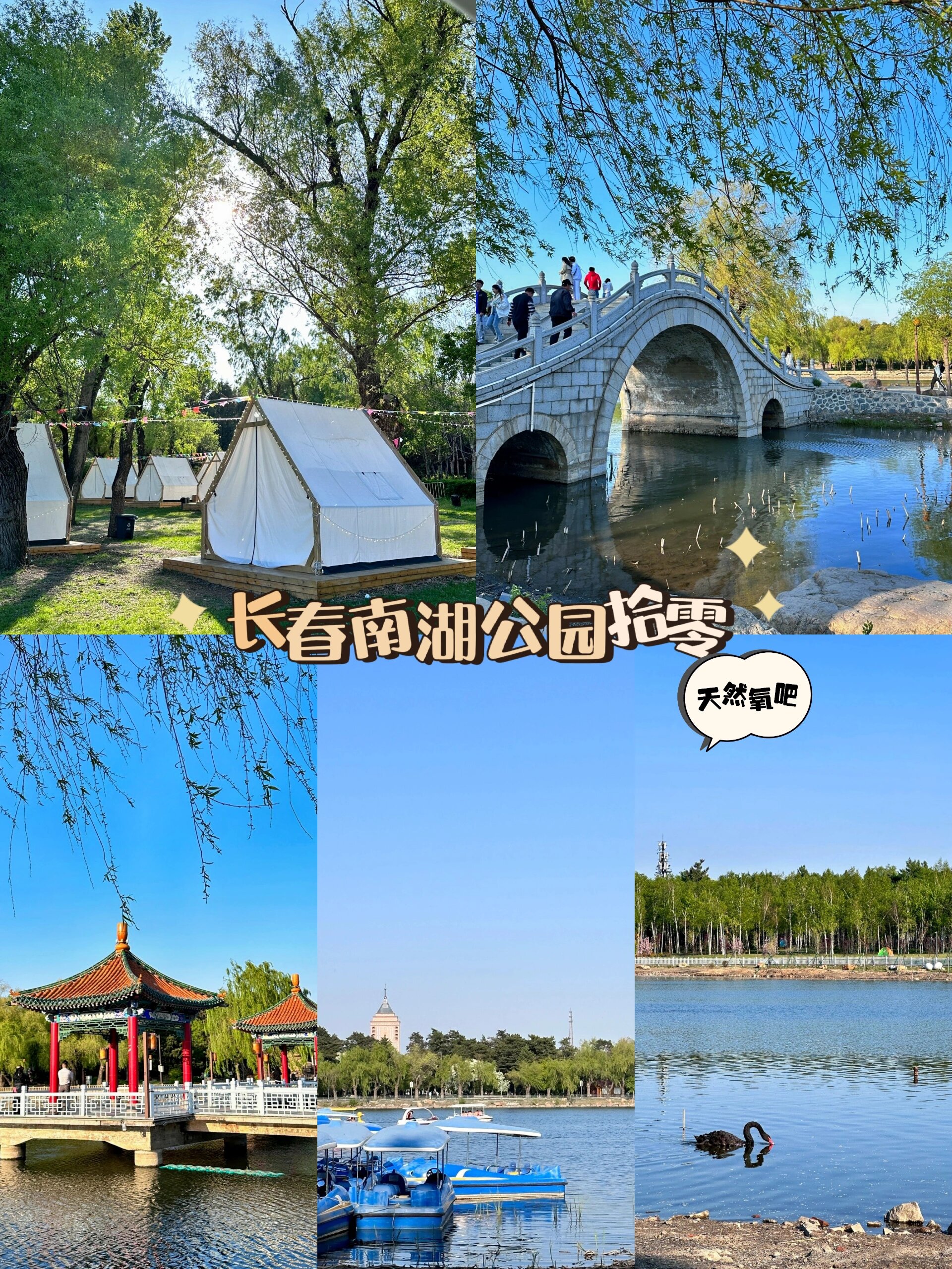 长春南湖公园景色分享