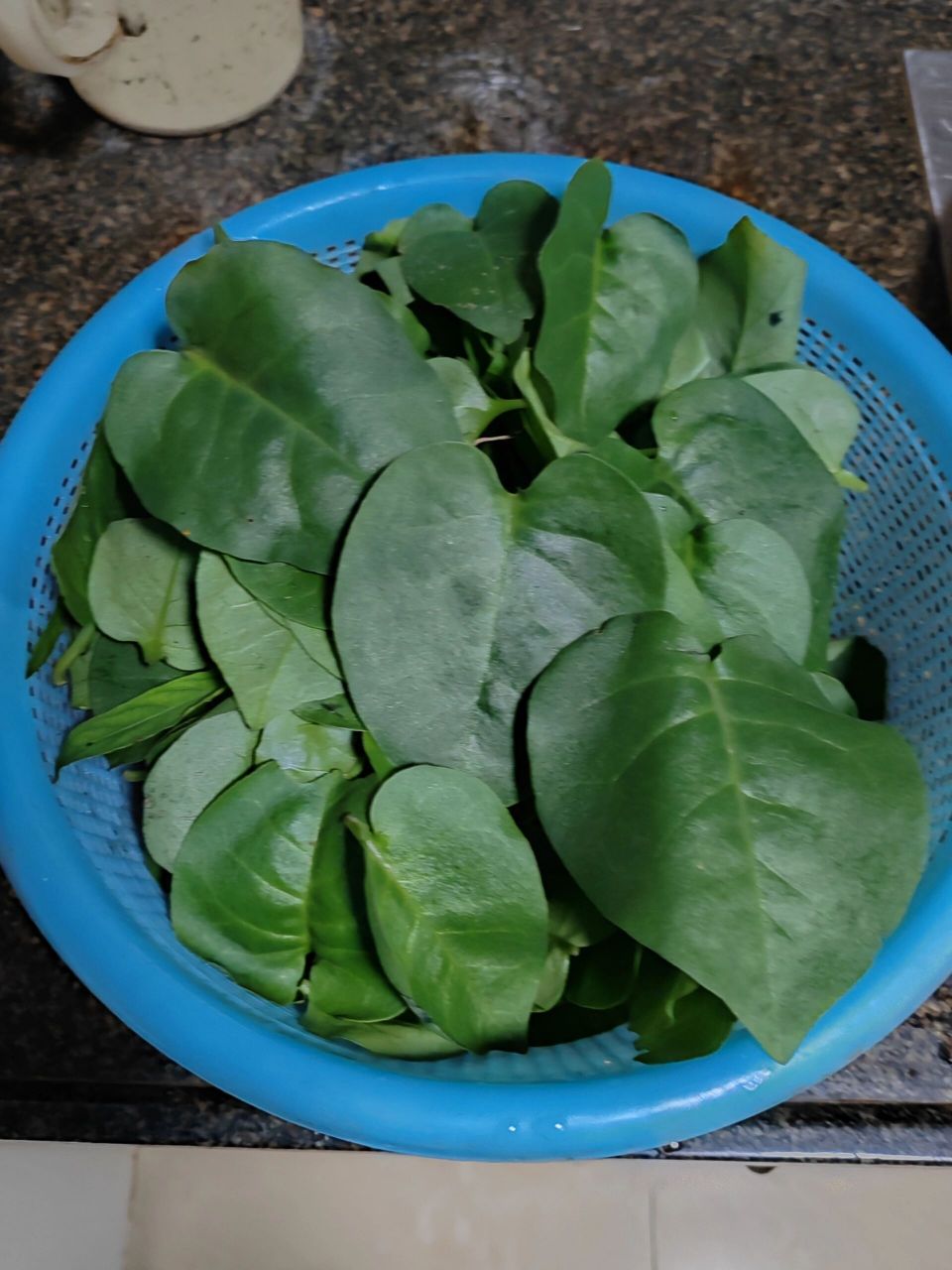 藤三七的功效和食用 今晚用藤三七叶子做汤,就是放瘦肉,蛋滚汤或用