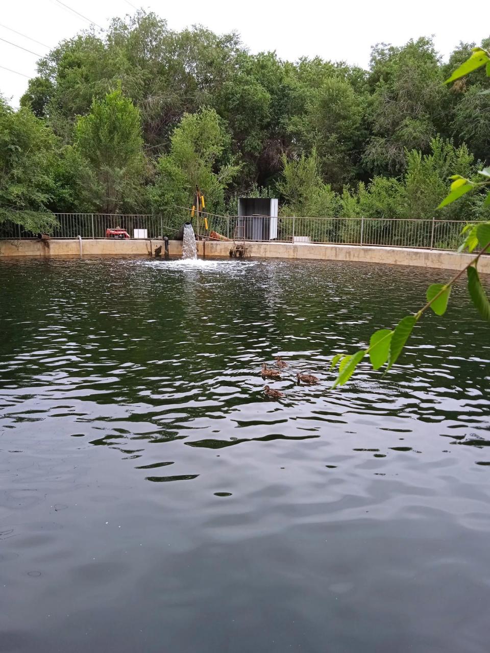 在乌鲁木齐水塔山公园里走着走着忽然听见哗哗的流水声,声音很大,四处