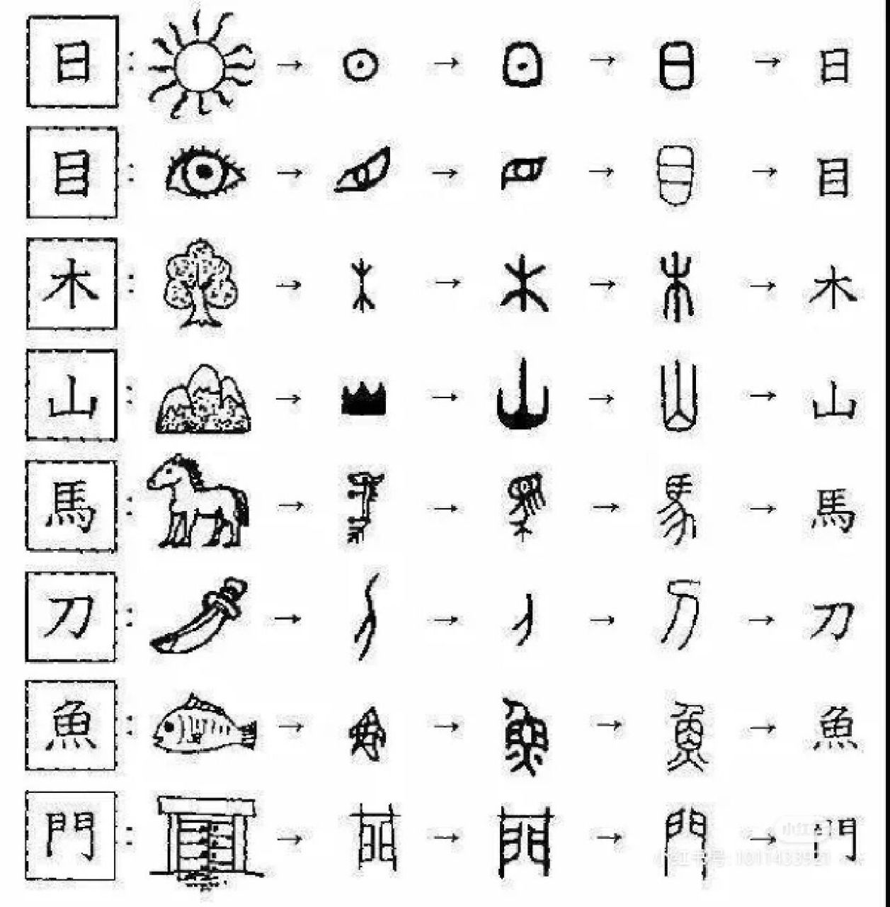 象形字 象形字在幼儿时期学习可以丰富幼儿的表象储备,发展幼儿思维