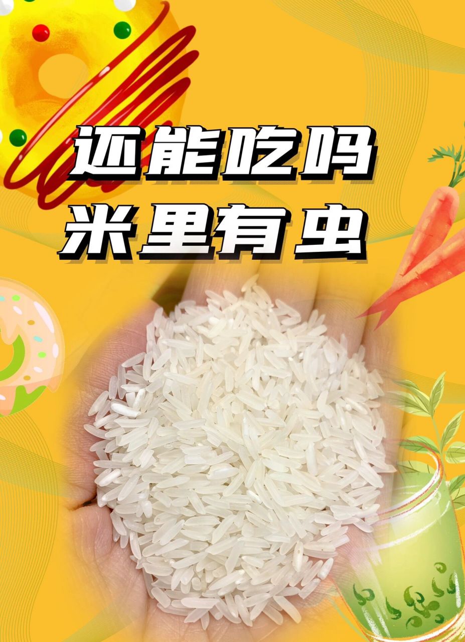 米里有虫还能吃吗? 📌大米里的黑虫学名是米象,基本无痛无害,所以生