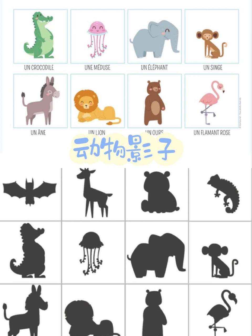 78早教素材分享78:动物影子 78深受宝贝喜爱的找影子游戏