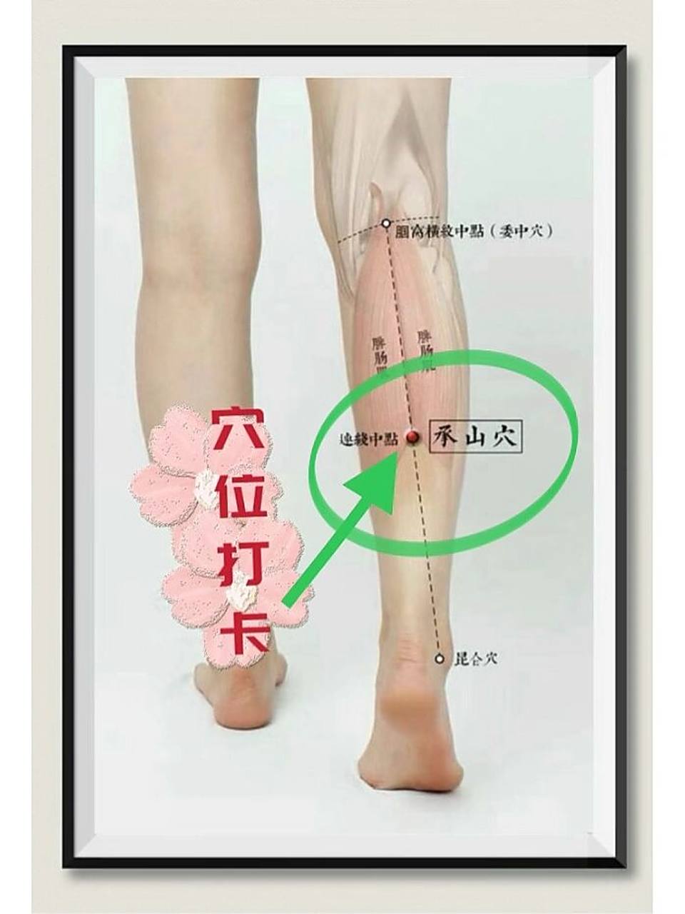 每日打卡按一按 承山穴为秋天作用特别好的穴位.