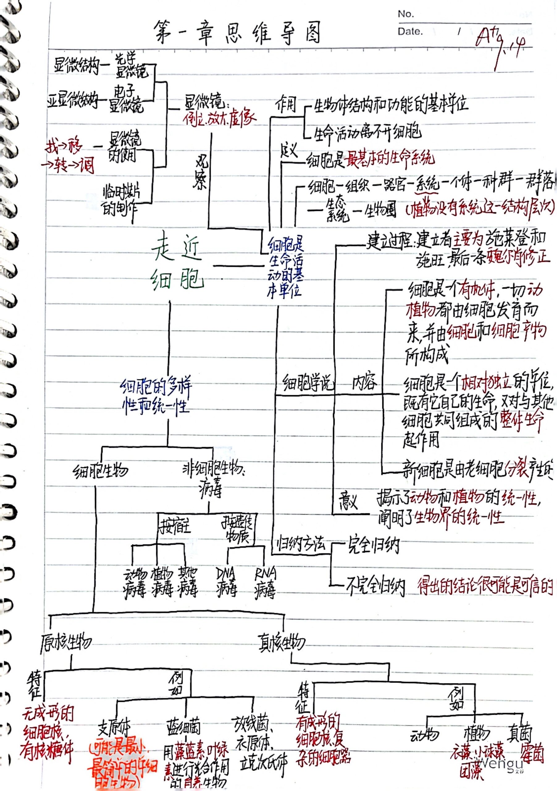 高中生物必修一第一章思维导图分享四