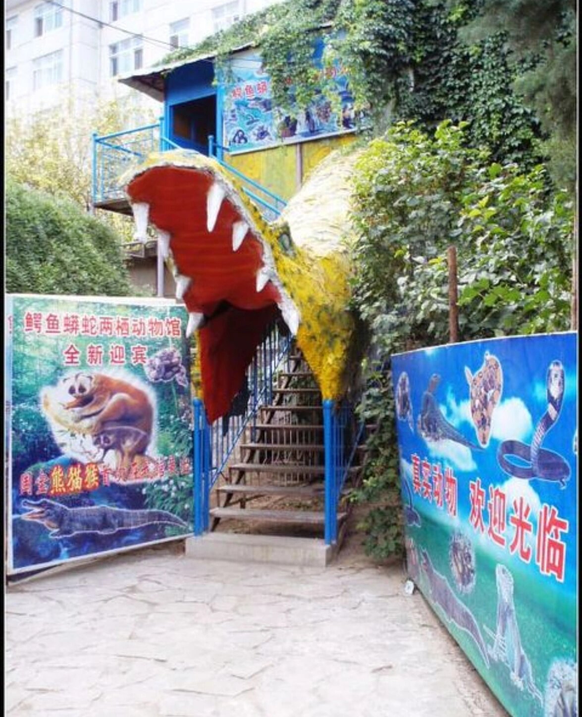 老照片|赤峰长青公园 儿时记忆06