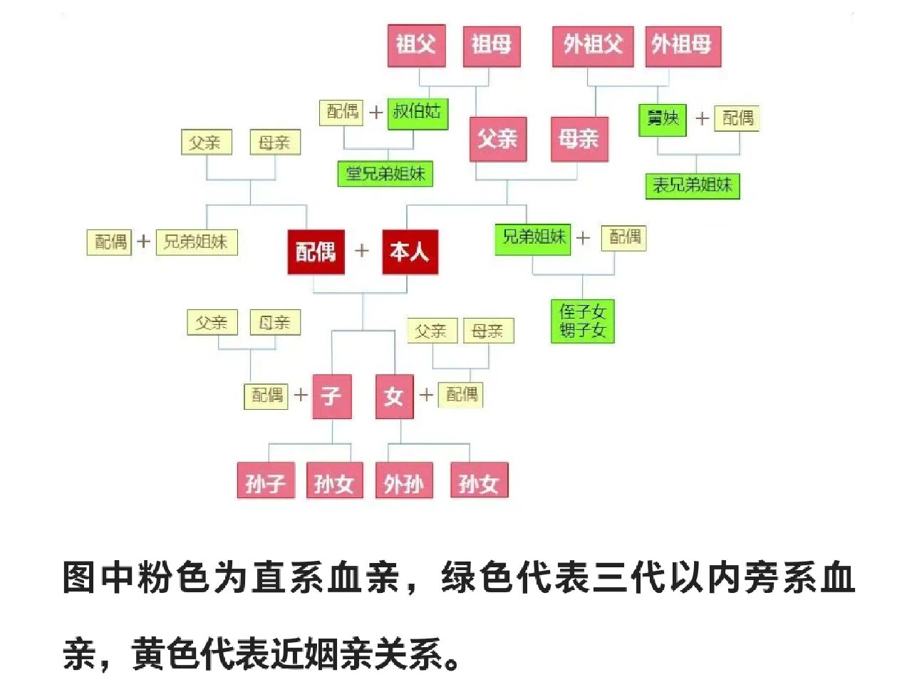 近姻亲关系图解图片