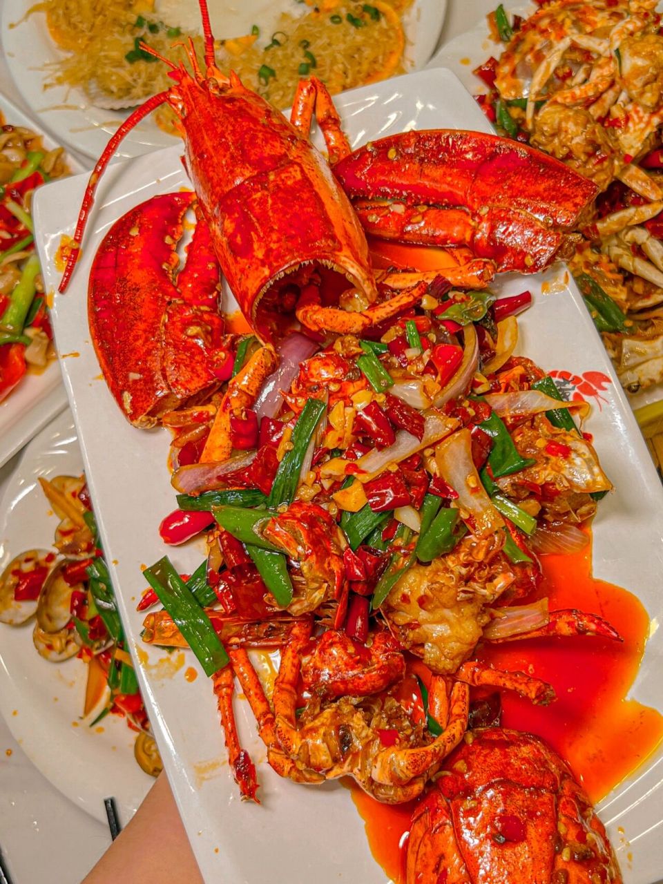 三亚必吃川味海鲜鼻祖6015波士顿大龙虾太绝了 啊啊啊天呐!