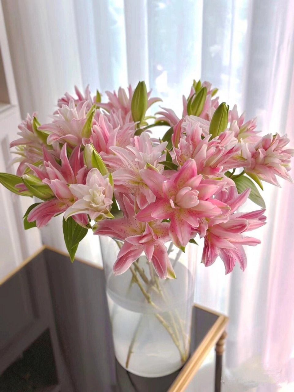 97百合花的花语是:纯洁,高雅,百年好合,庄严,花朵呈钟状,花瓣洁白而