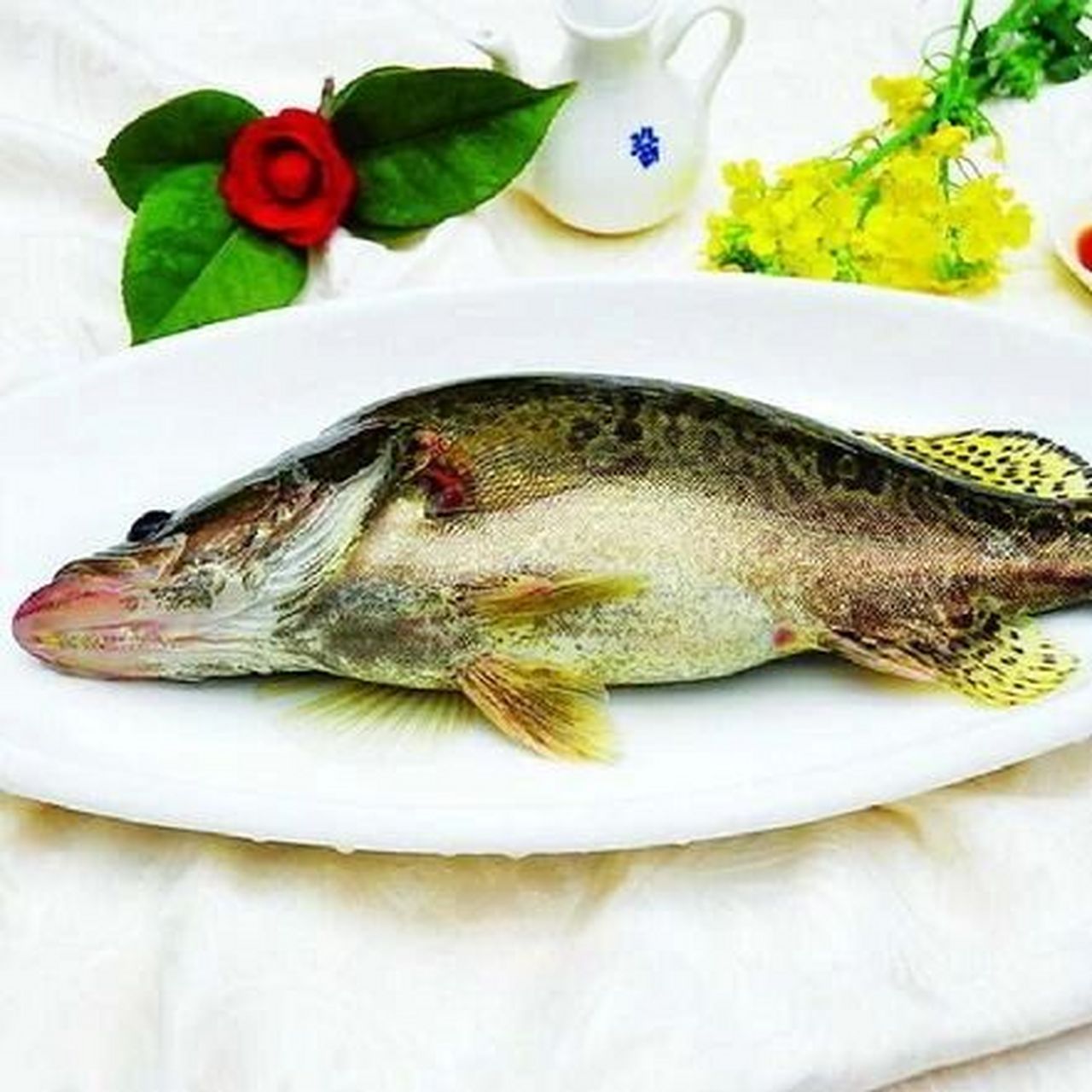 桂鱼的功效和营养价值 现实生活之中,对于桂鱼这种美味的鱼类,相信