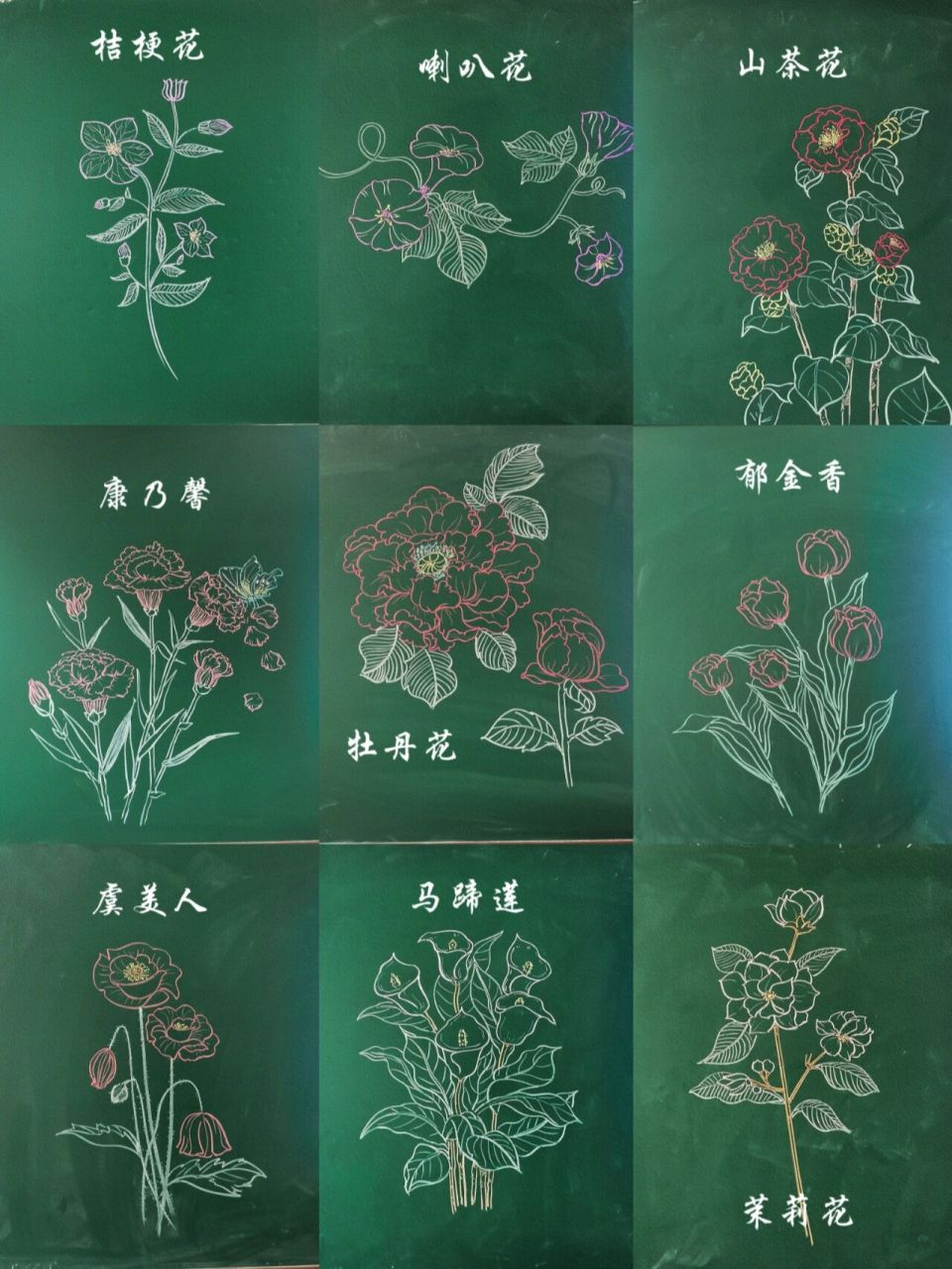 粉笔画花简单图片