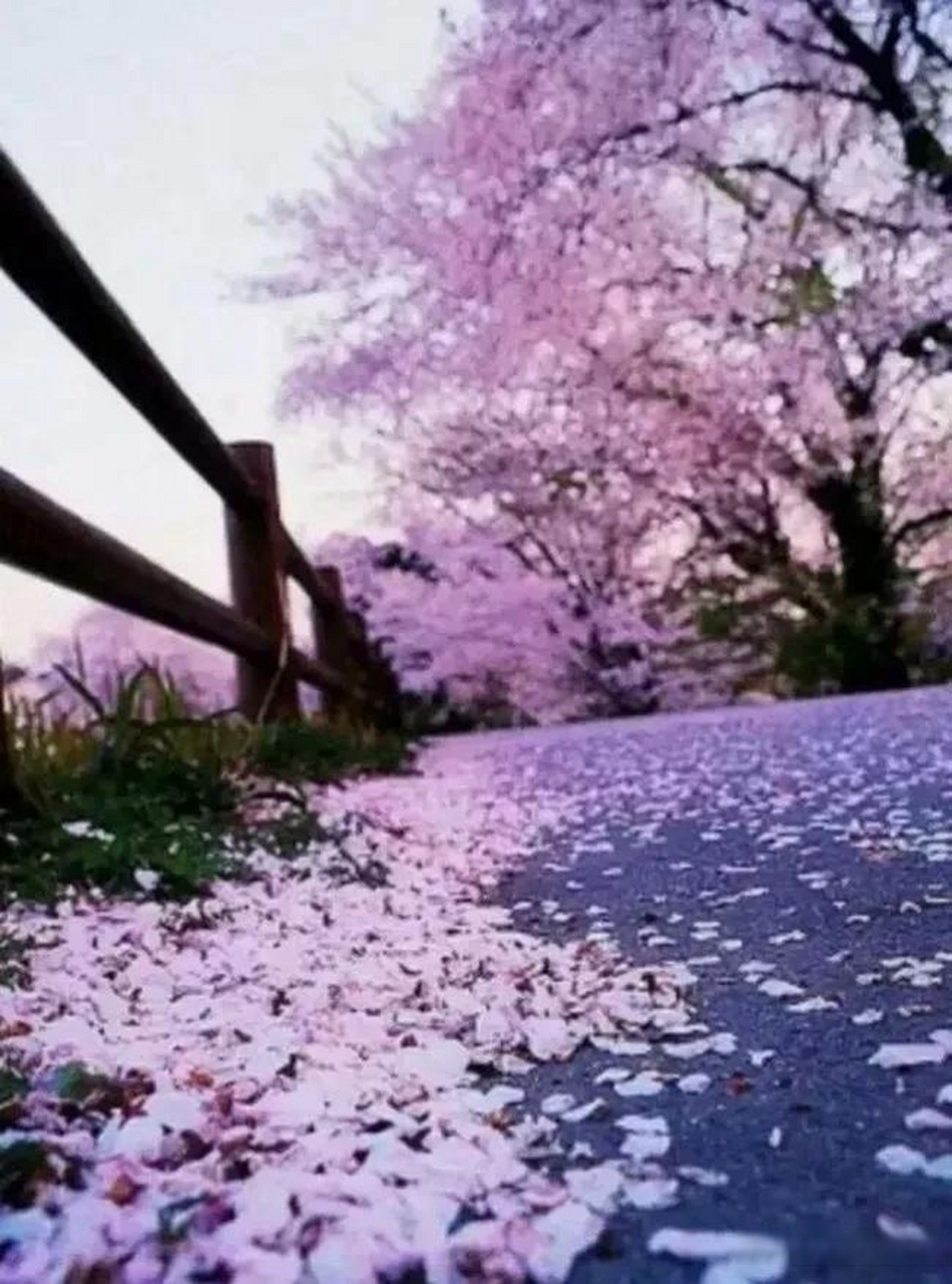 云卷云舒听天籁,你对下联  我的下联:花开花落享人生.