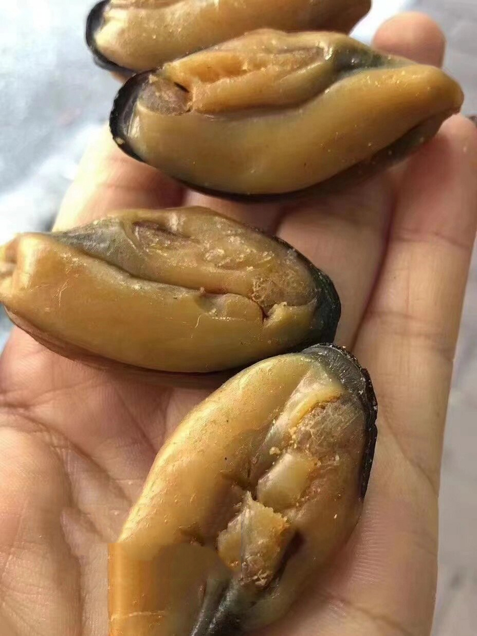 大淡菜 淡菜,又名贻贝,海红,海夫人,主要有条纹贻贝,紫贻贝和厚壳贻贝