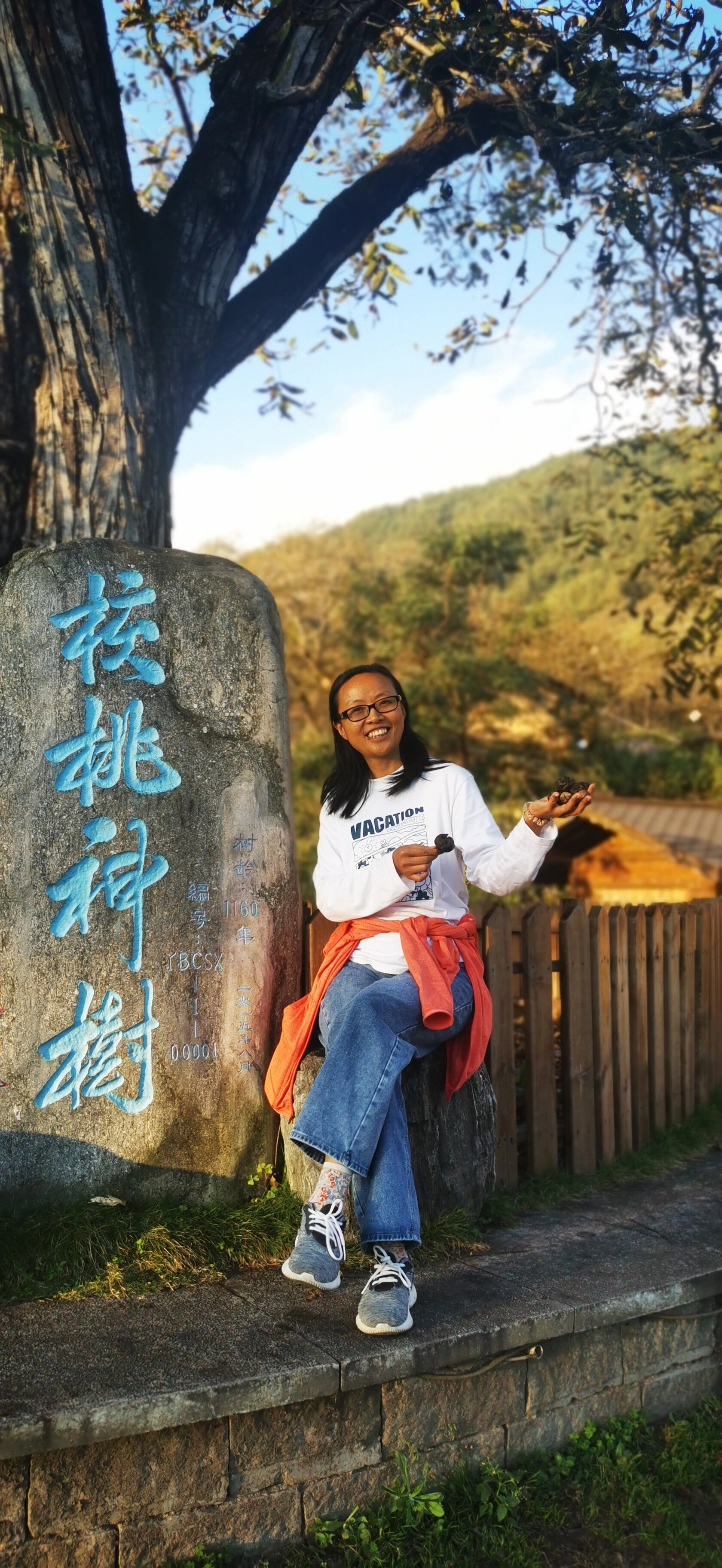 来千年古核桃村之云上村 吃核桃 云南特产～核桃 这棵古核桃树 树龄