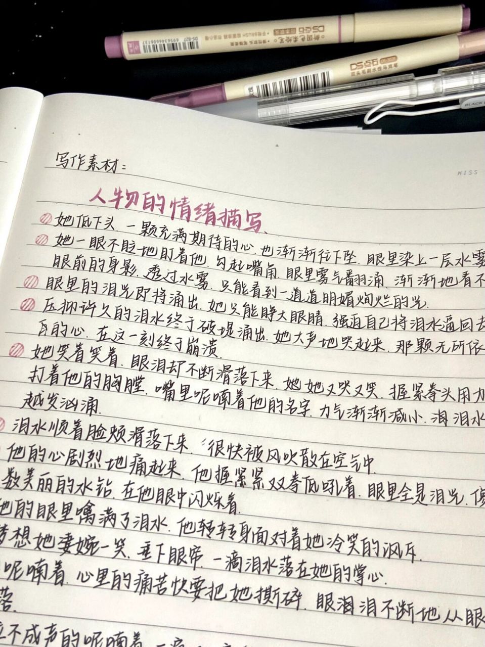 作文写人物的好句(描写人物作文的好词好句)