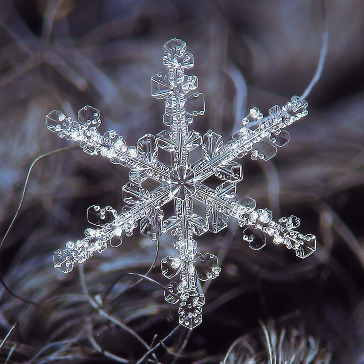 36种雪花形状 实景图片