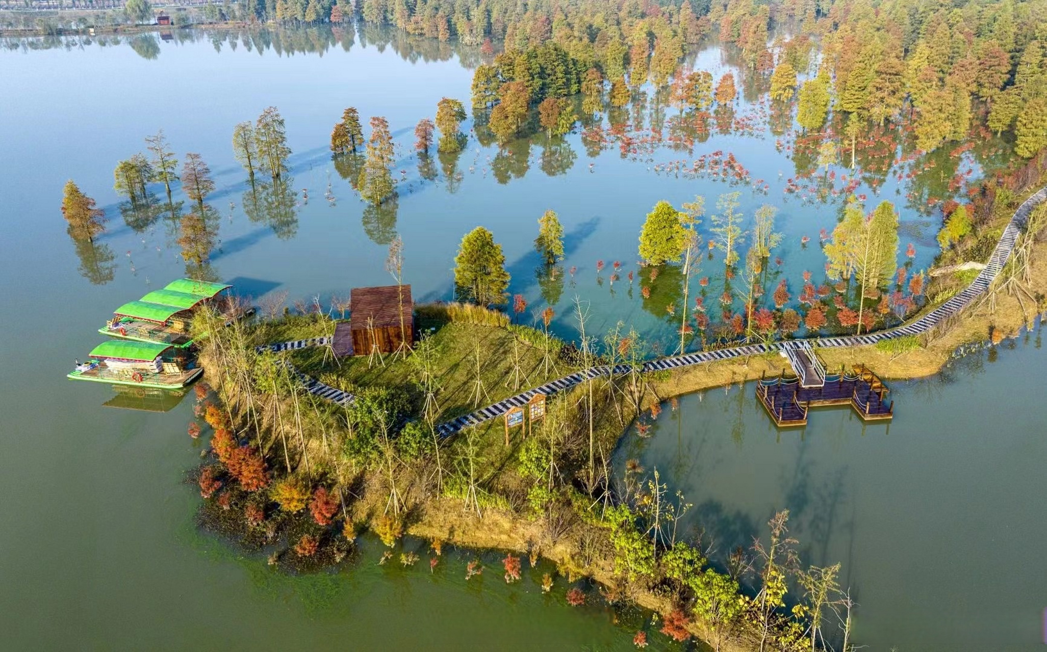 近日,庐江县柯坦镇的大汉塘景区引来大批游客,一池美景,尽收眼底.