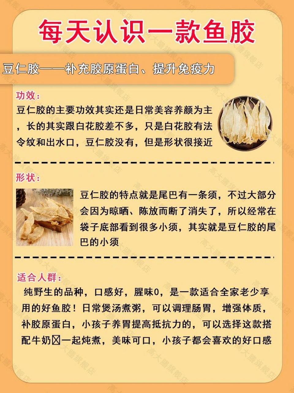 【花胶科普】每天认识一款鱼胶——豆仁胶 豆仁胶也