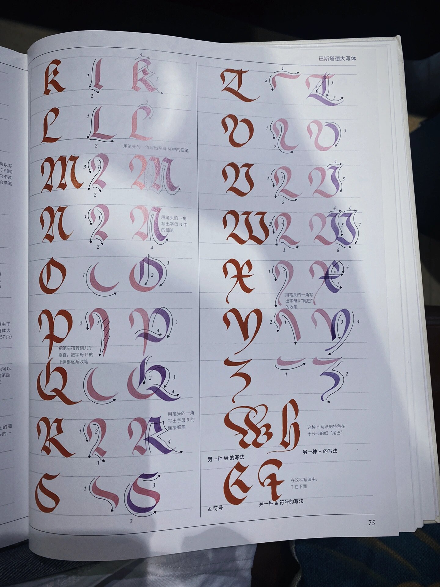 自学手写哥特体 26个英文字母表基础字体