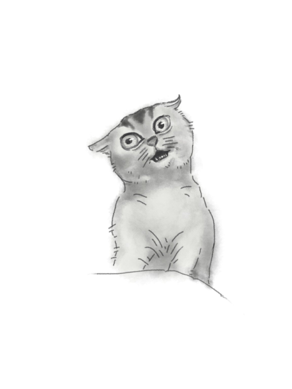 每日一画沙雕表情|歪脖子骂骂咧咧小猫咪