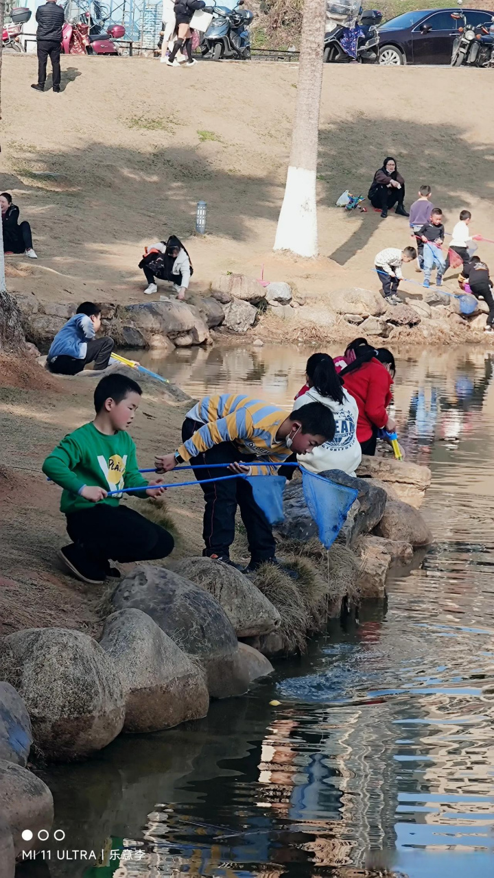 邵陽西苑公園的人流量是去年的幾十倍 不管是廣場還是湖邊,路上滿滿都