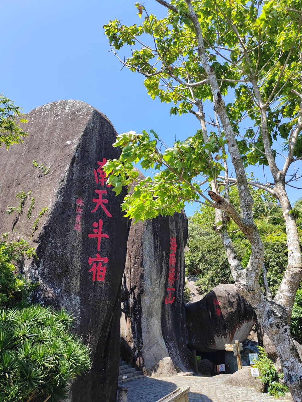 东山岭风景区门票图片