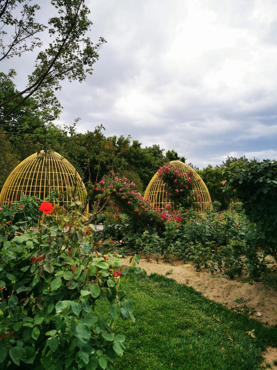 花乡公园/丰台区也有很美的大公园啦!