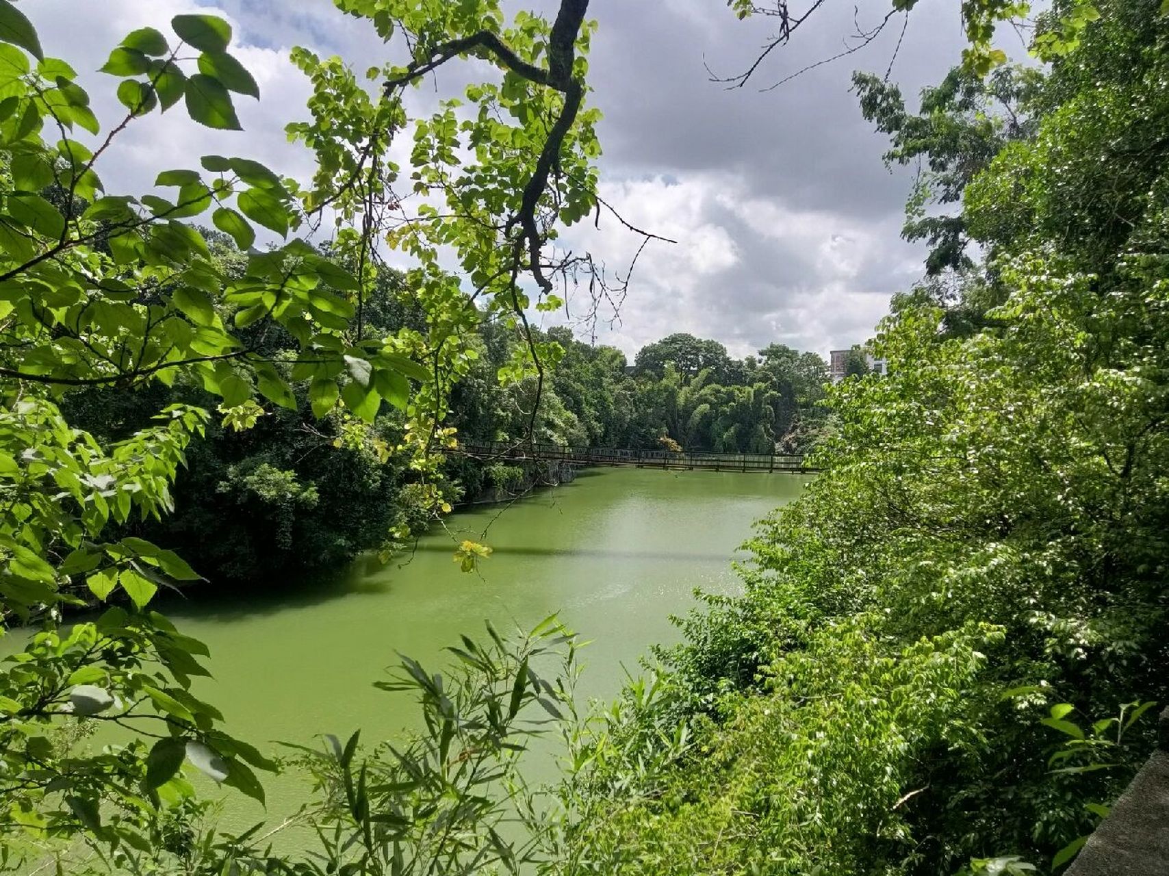 明秀园|武鸣必去 73 总的来说是一个很大公园166各种绿植,秋天也