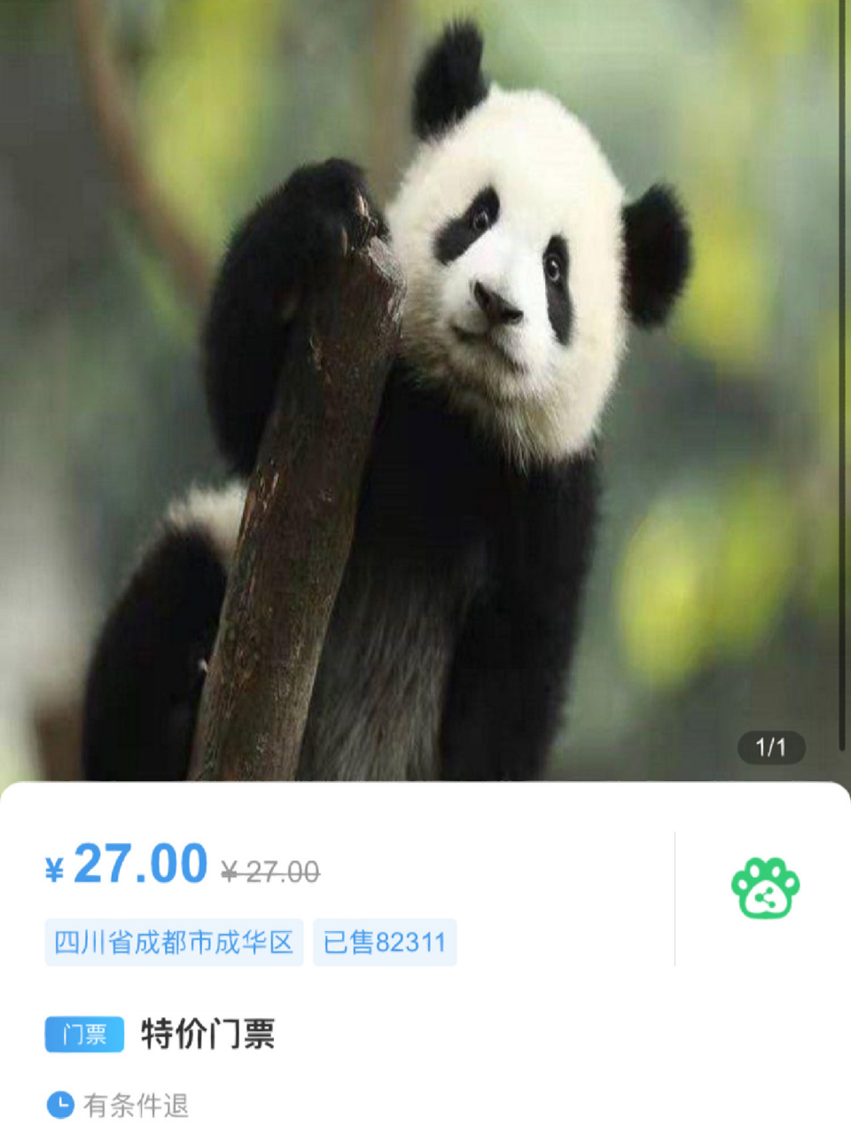 成都大熊猫基地门票(成都大熊猫基地门票怎么买)