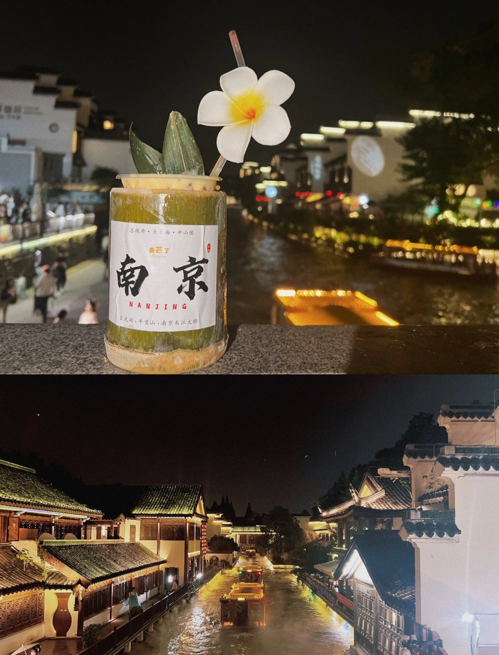 桃叶渡-东园桥-东水关遗址公园-水街-白鹭洲公园-夫子庙(走了四个