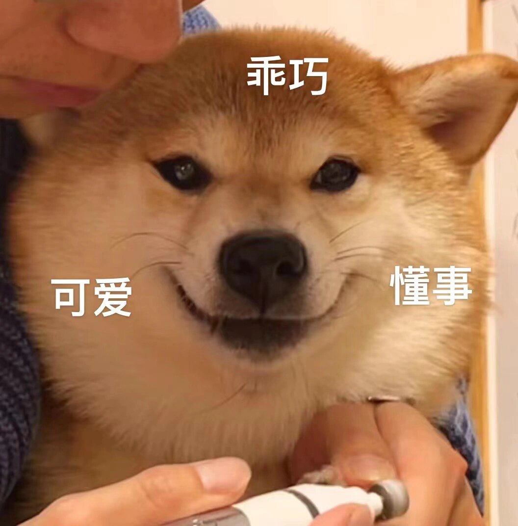 武士柴犬表情包图片