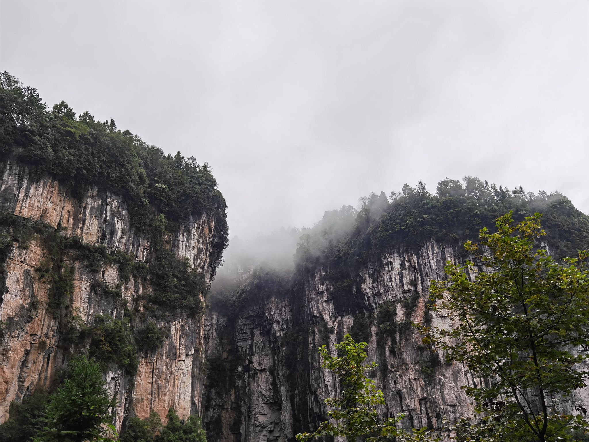 重庆东原檀香山图片