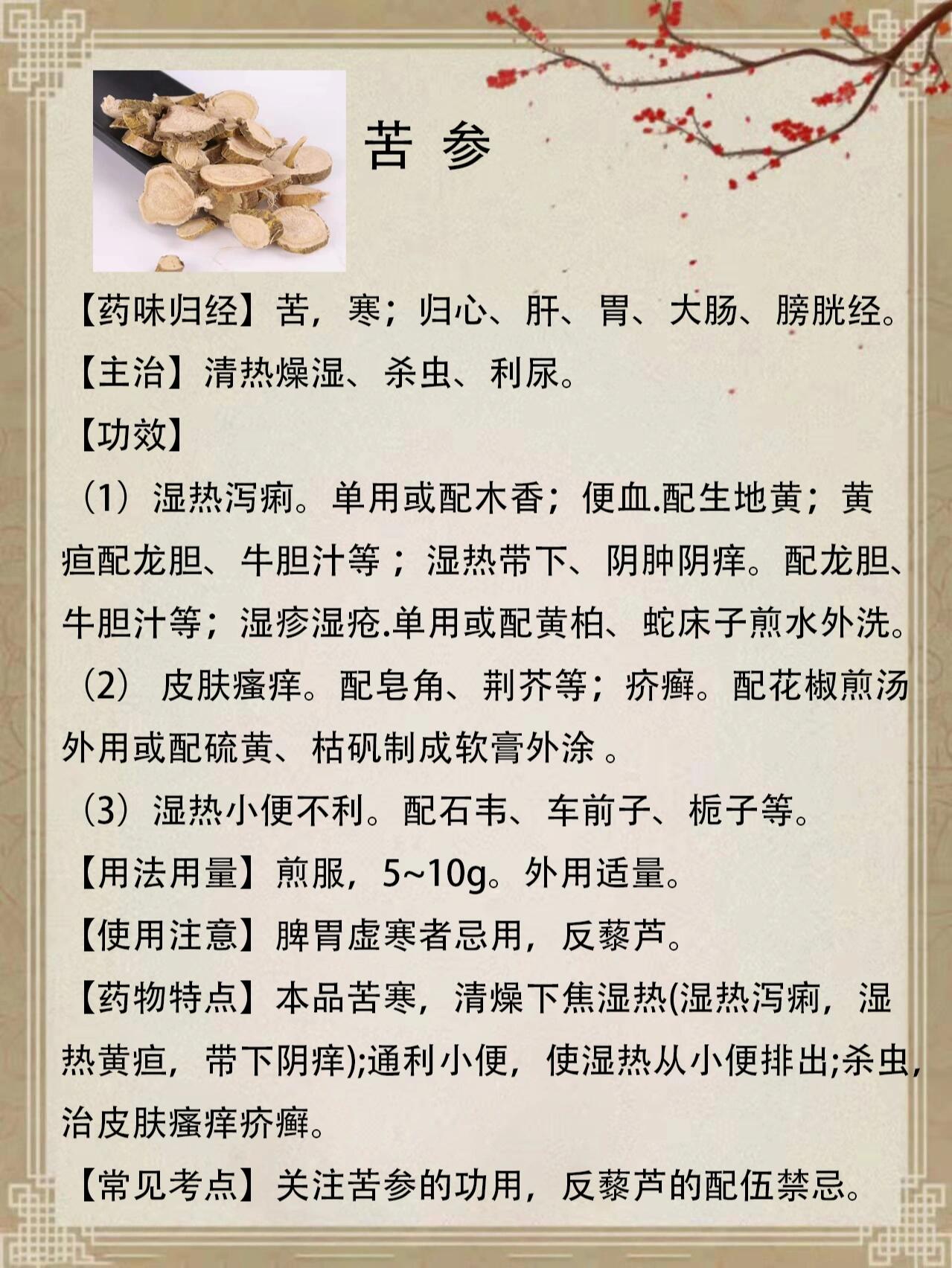 清热燥湿,杀虫利尿-苦参