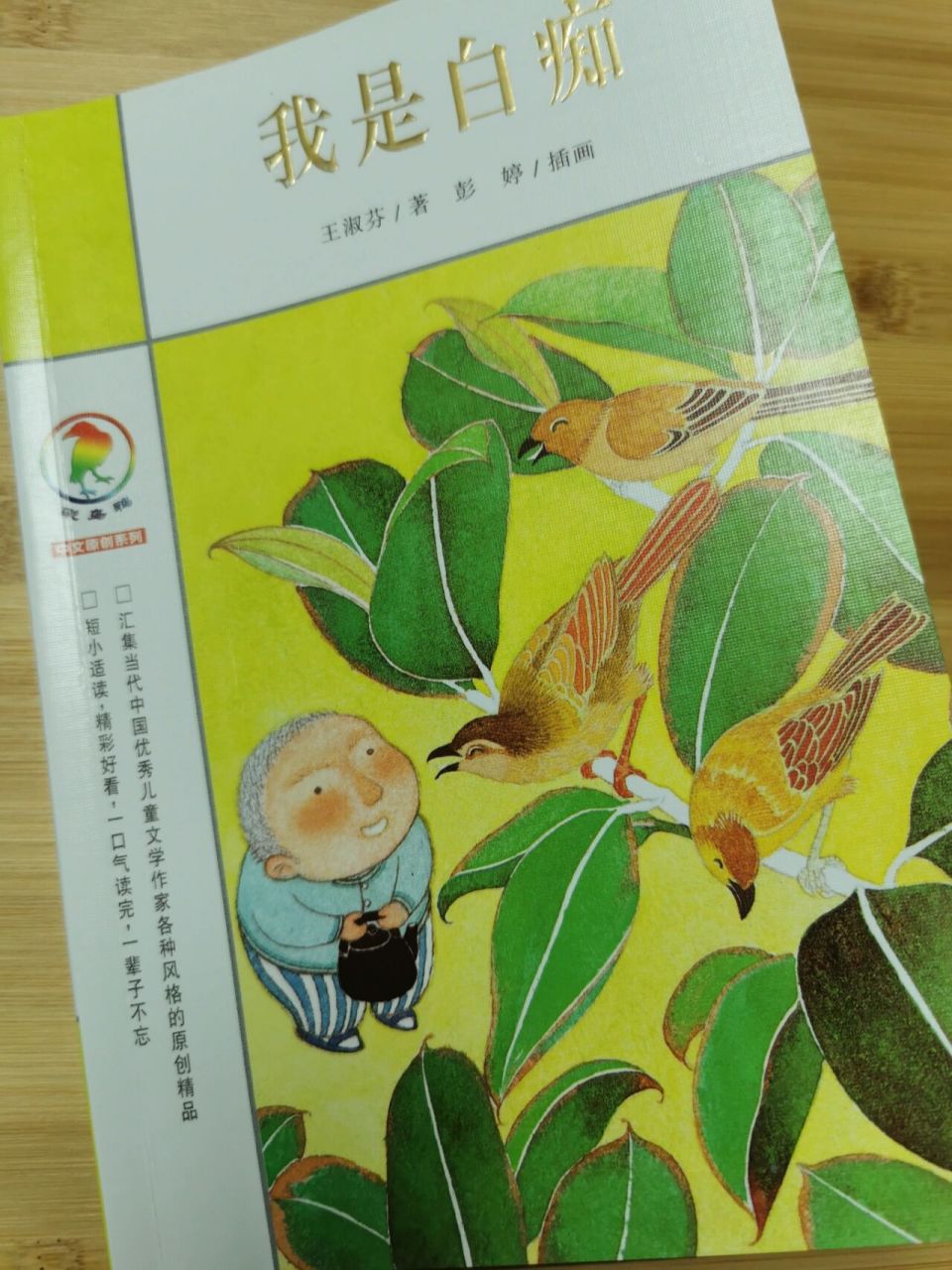 《我是白痴》 作者:  王淑芬 插画:彭婷 出版社: 二十一世纪出版社