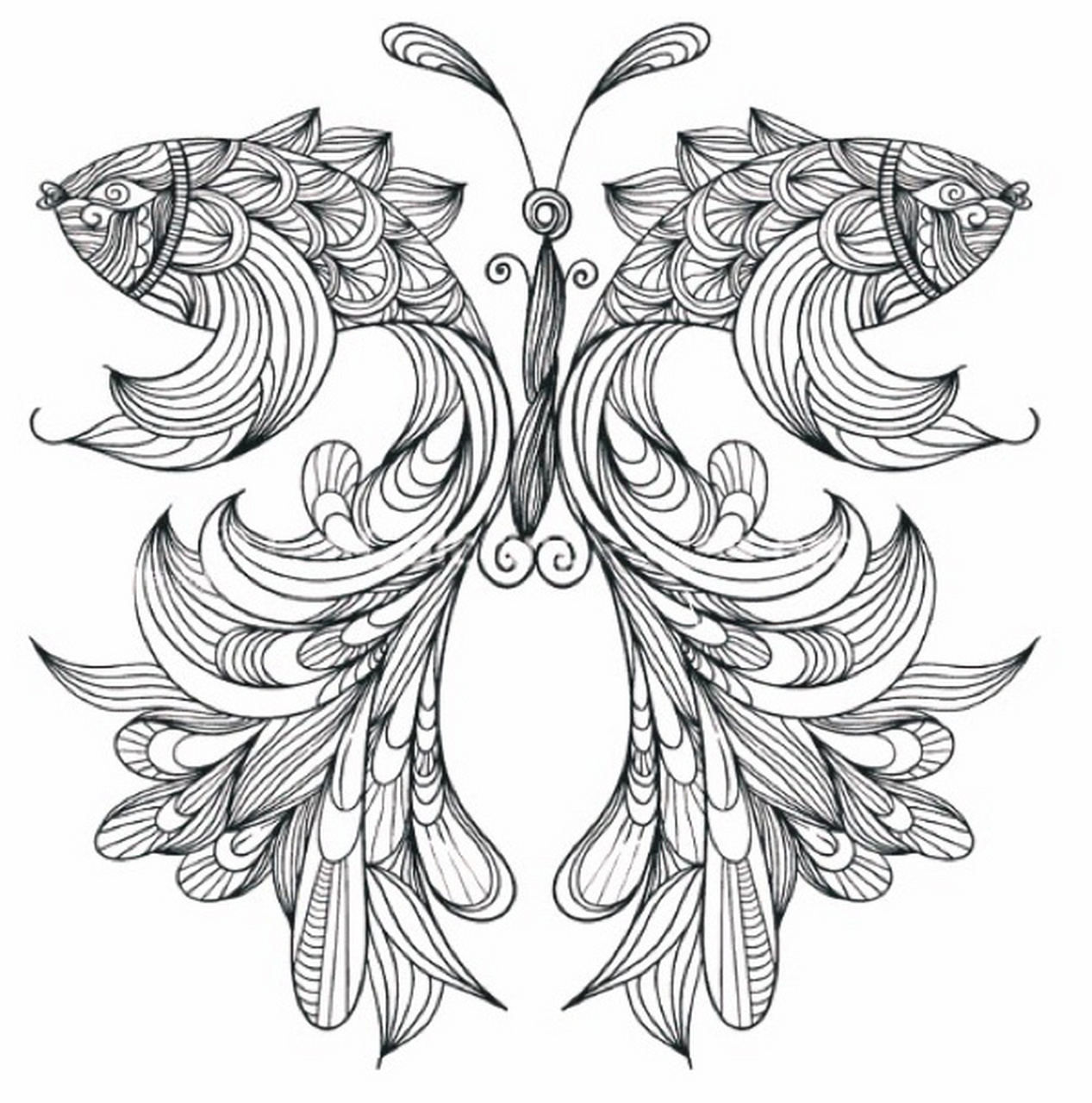 设计师的素材收藏夹—小动物系列白描线稿9 日常素材分享