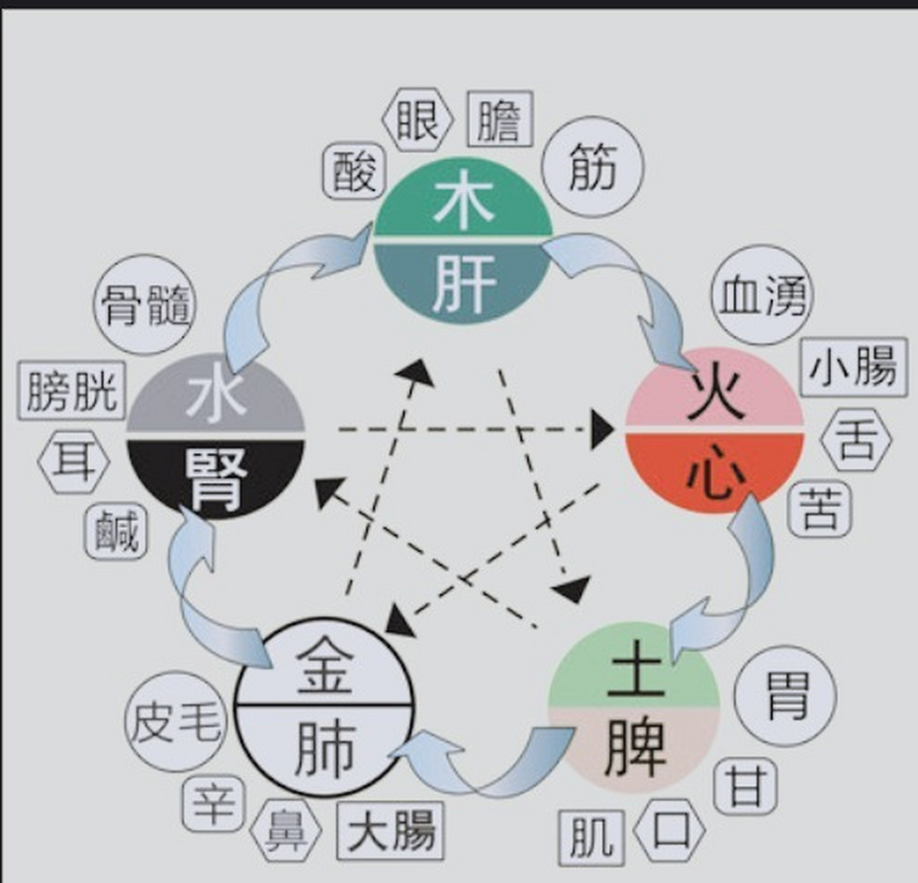 口訣:五臟五行五色五味 金弱土衰燥火旺,必定傷肺沒商量,溼氣水重來