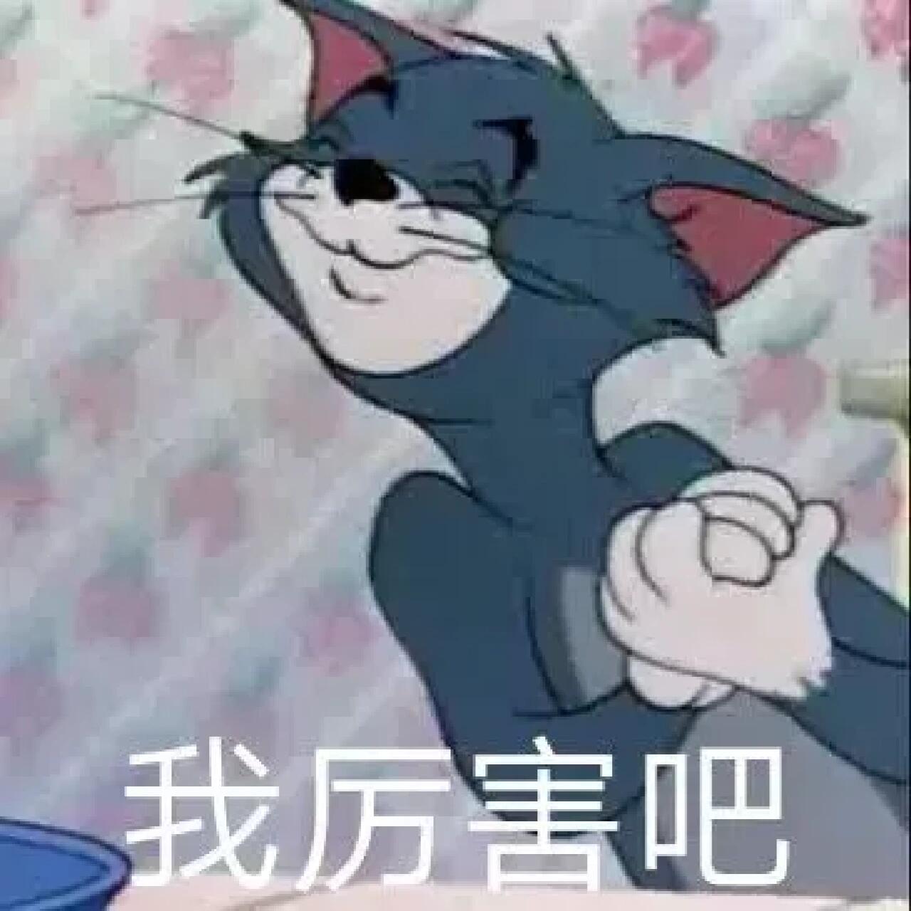 猫和老鼠表情包之傲娇汤姆97