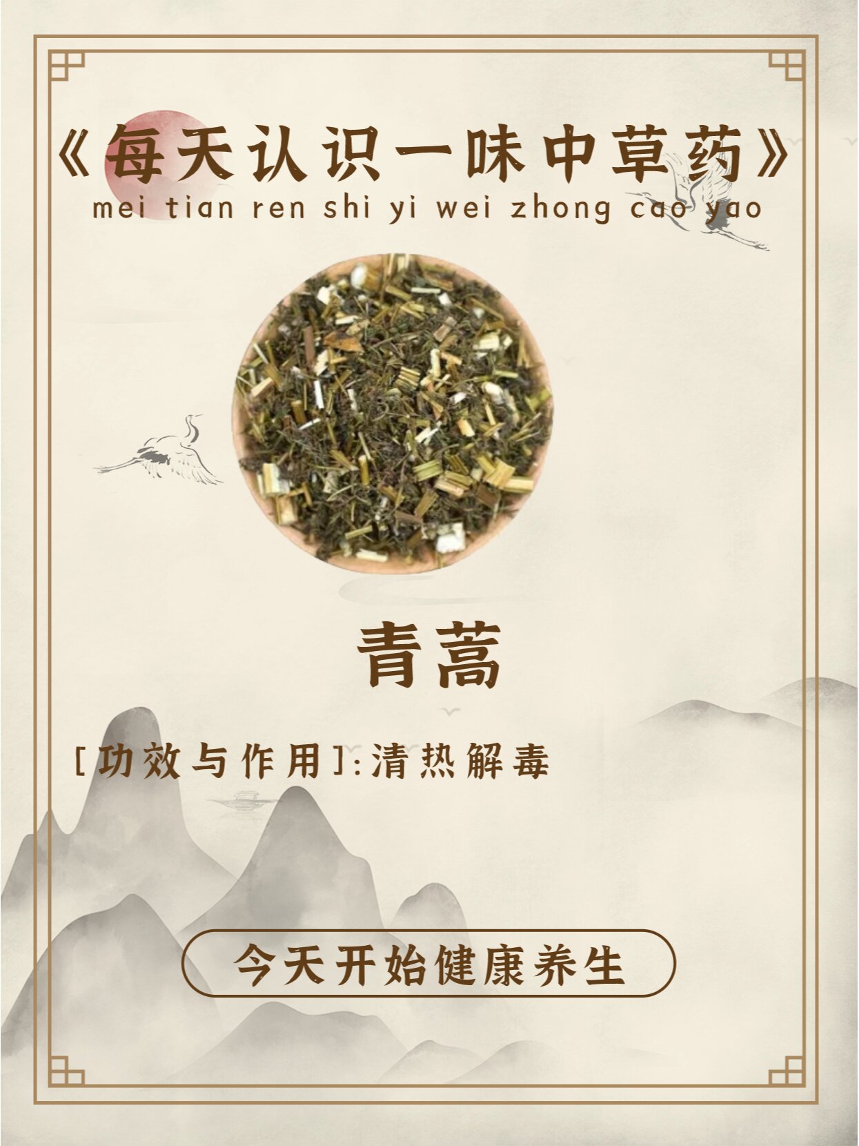 每天认识一味中草药-青蒿