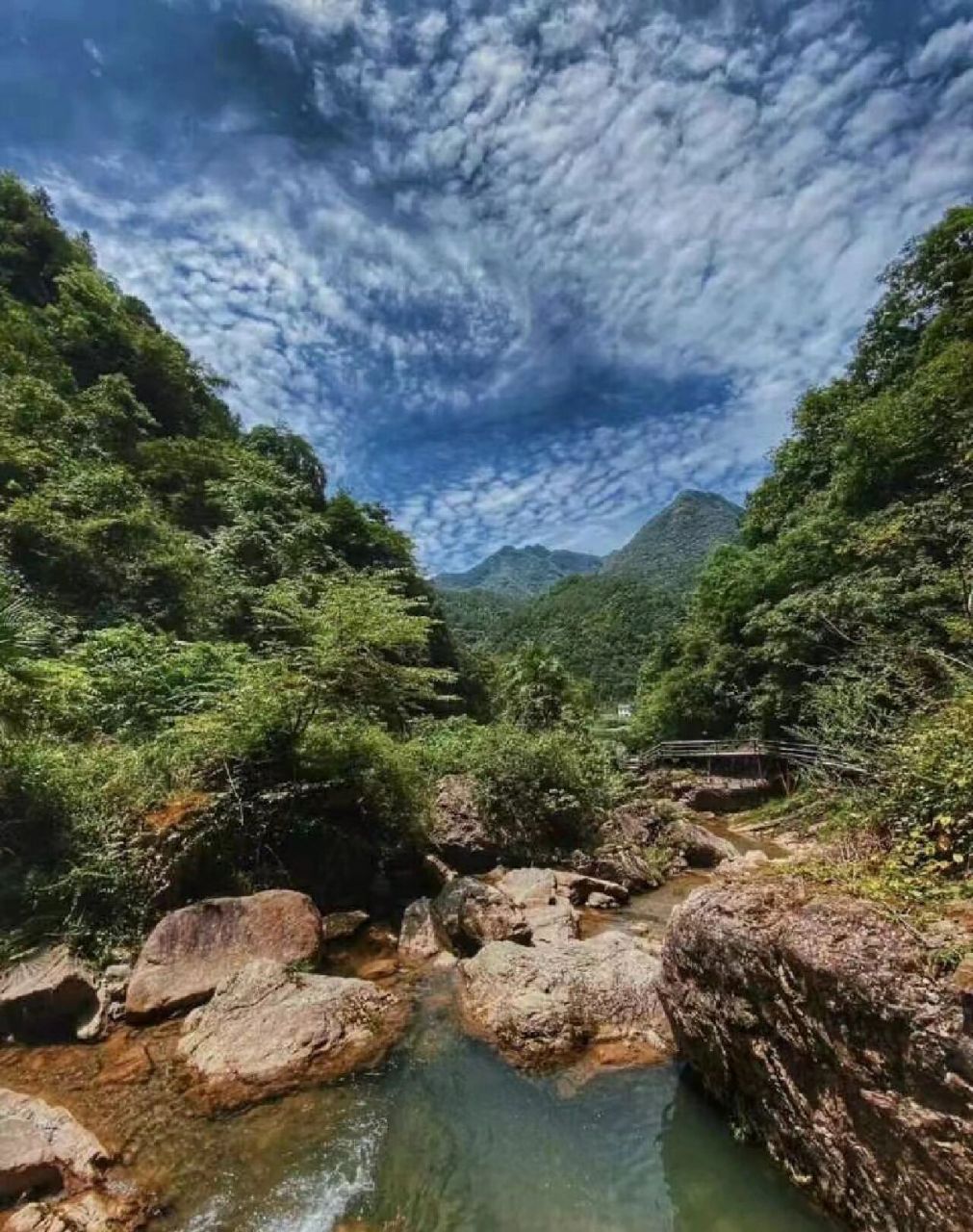 99地址:江油市厚坝镇枫顺乡藏龙潭风景区 7815景区约4